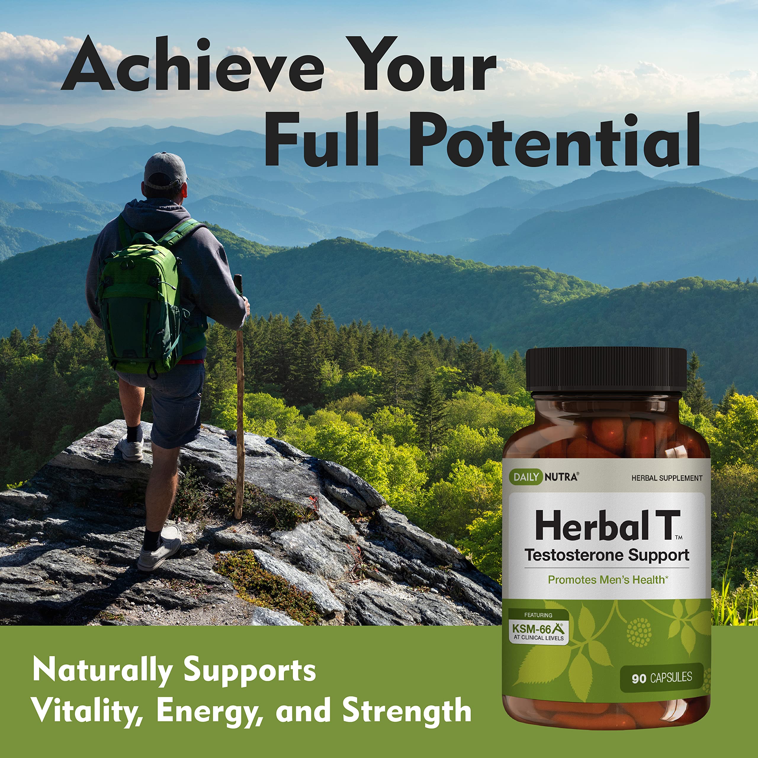 DailyNutra Herbal T Men's Health Formula - Endurance & Vitality (3-Pack) - Image 2