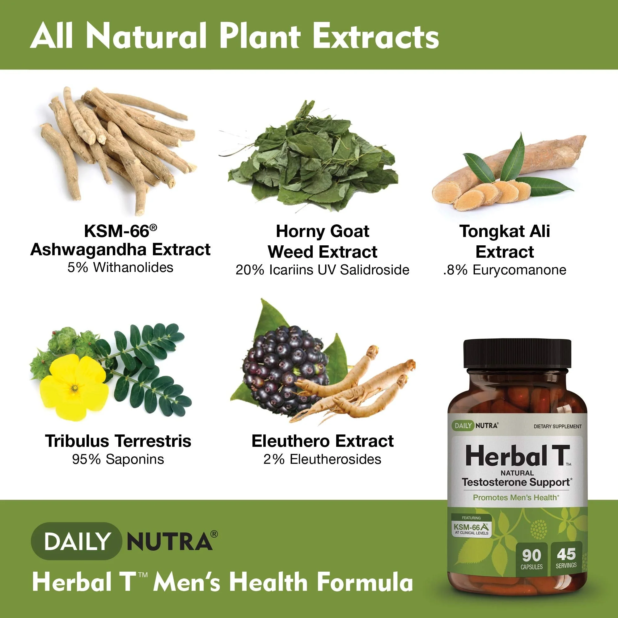 DailyNutra Herbal T Men's Health Formula - Endurance & Vitality (3-Pack) - Image 3
