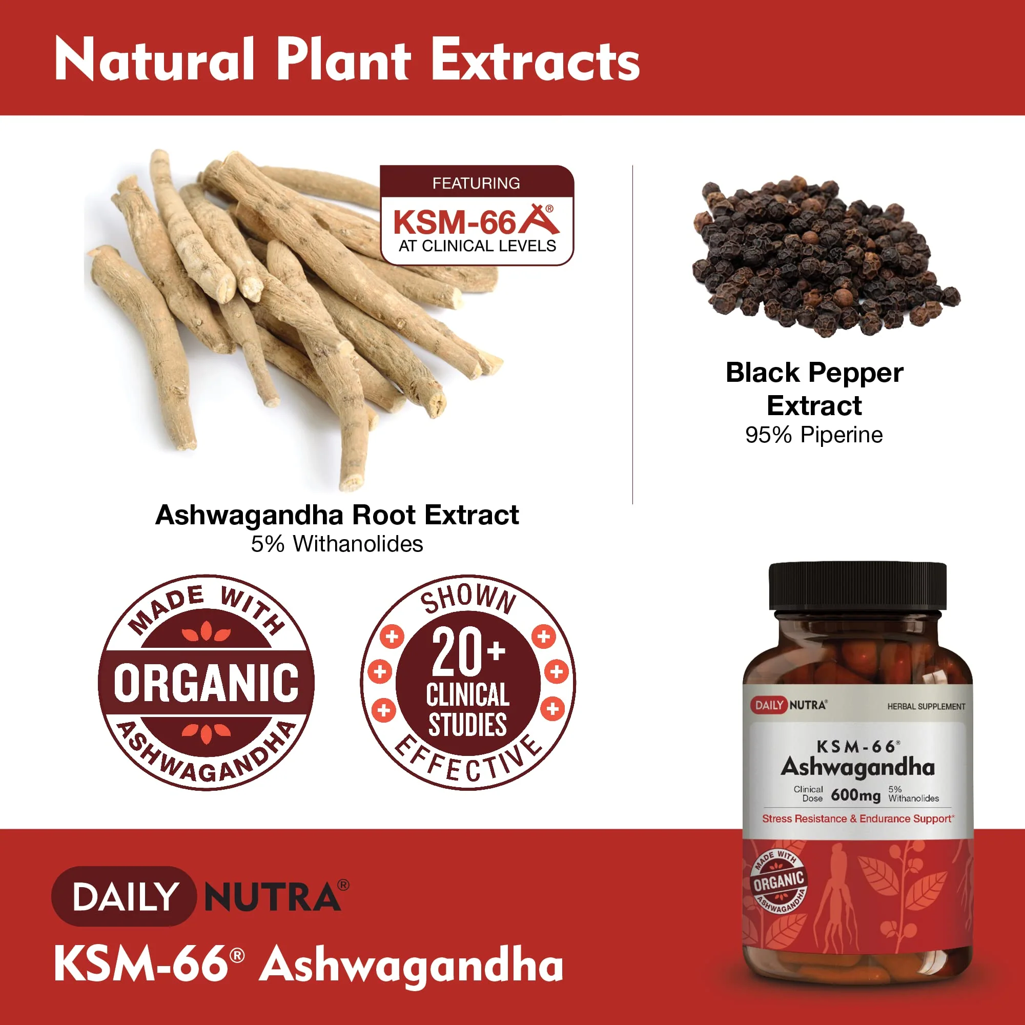 DailyNutra KSM-66 Ashwagandha 600mg Organic Root Extract – High Potency 5% Withanolides (60 Capsules) - Image 3