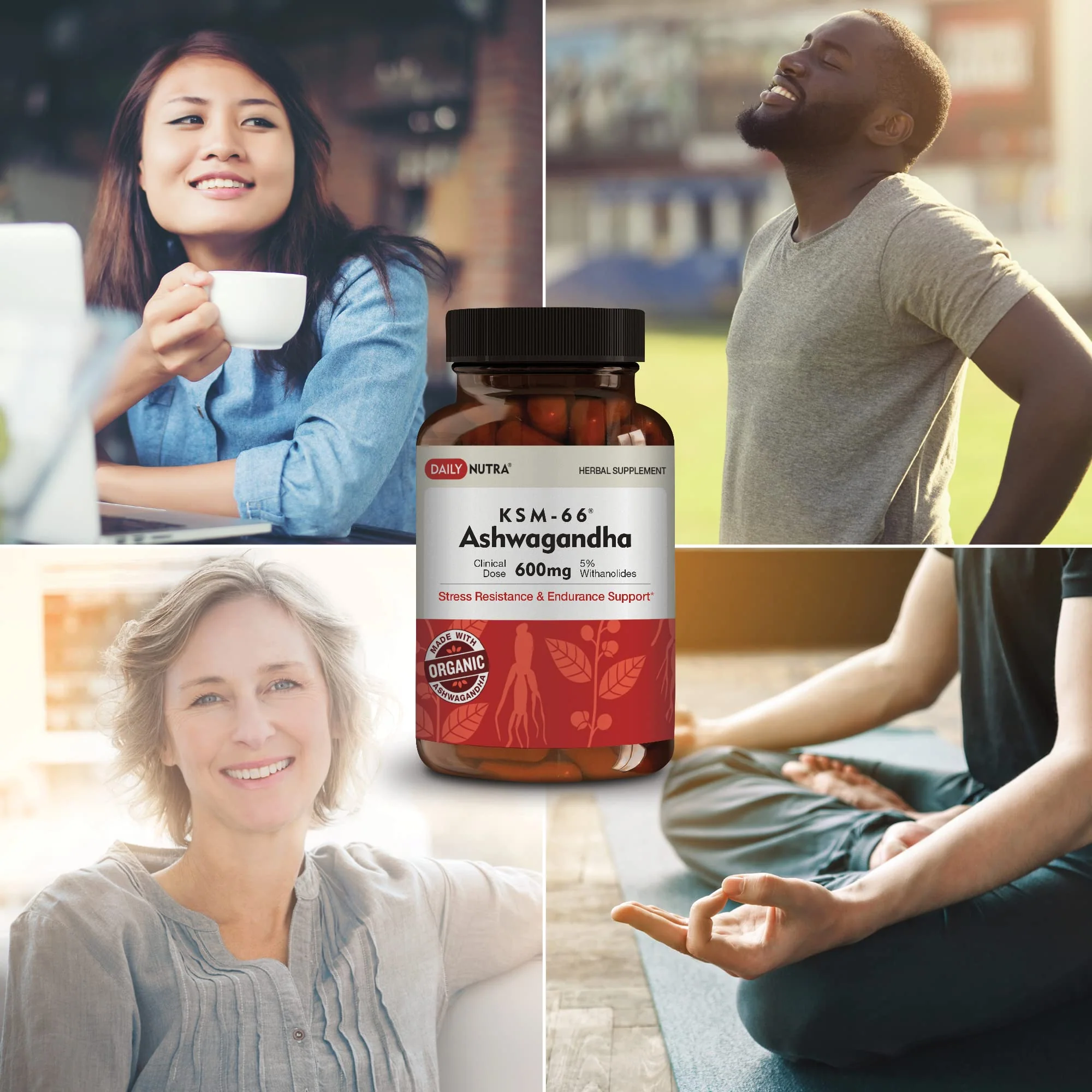 DailyNutra KSM-66 Ashwagandha 600mg Organic Root Extract – High Potency 5% Withanolides (60 Capsules) - Image 9