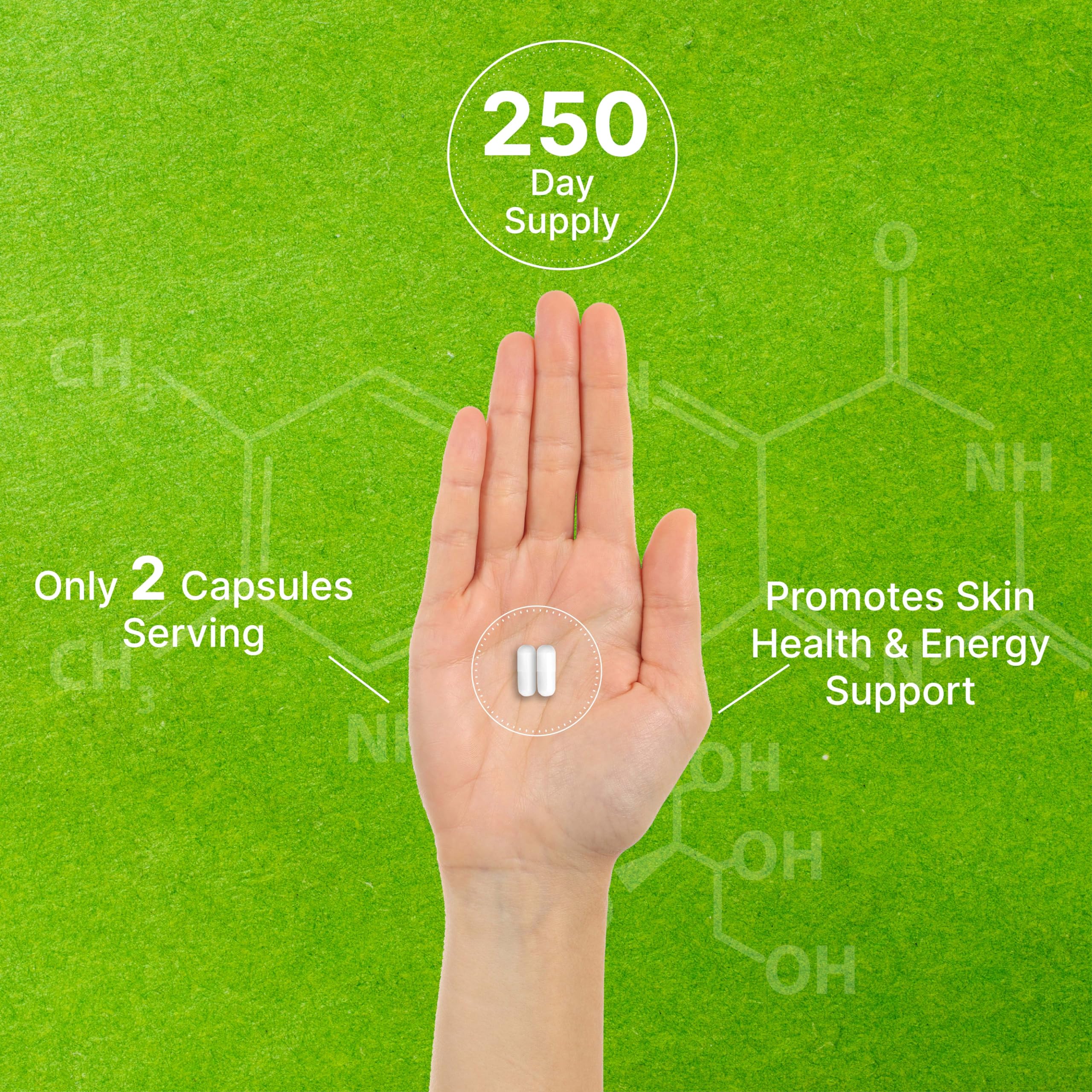 DEAL SUPPLEMENT Vitamin B3 Nicotinamide 1,000mg – 500 Capsules, Flush Free, Non-GMO - Image 5