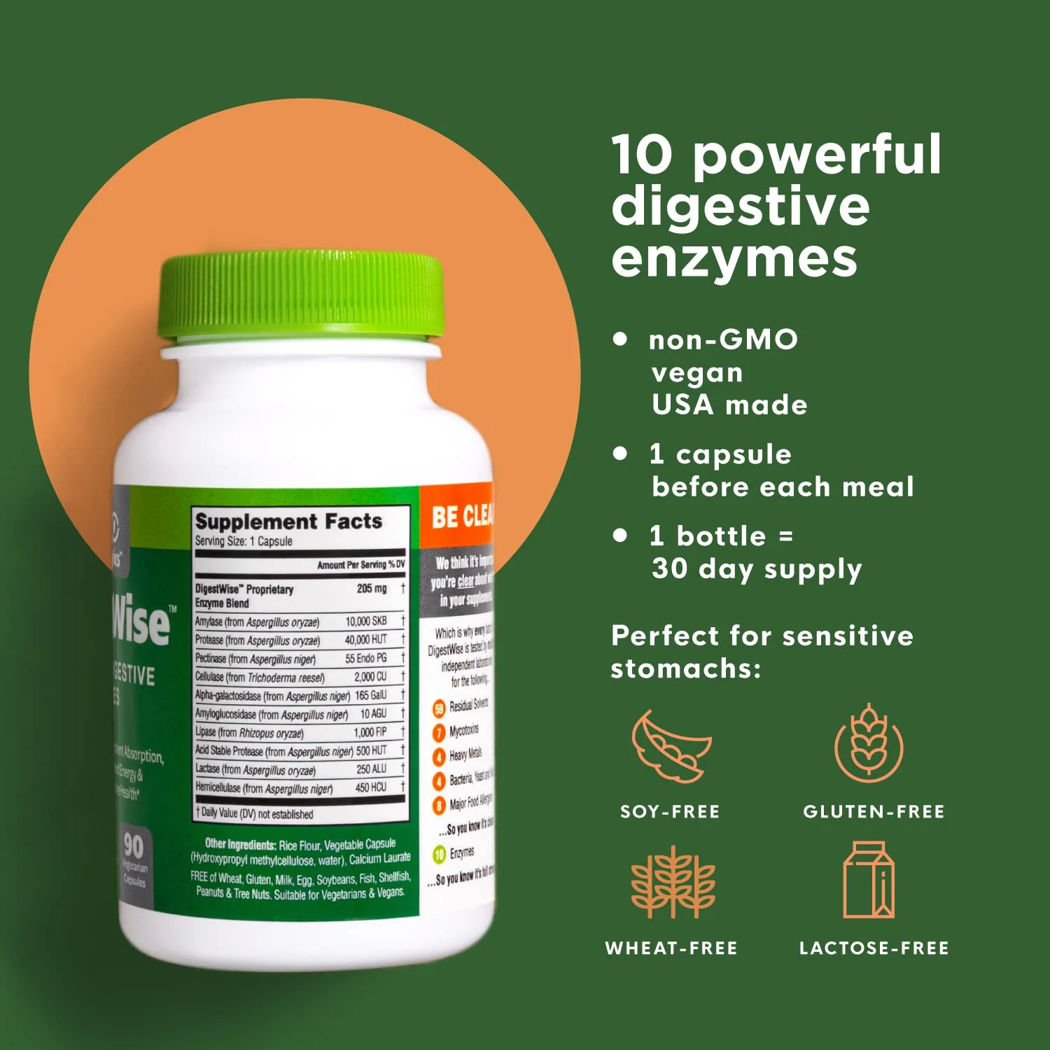 DigestWise Digestive Enzymes – 10 Vegan Enzymes for Digestion, Gas & Bloating | 90 Capsules - Image 2