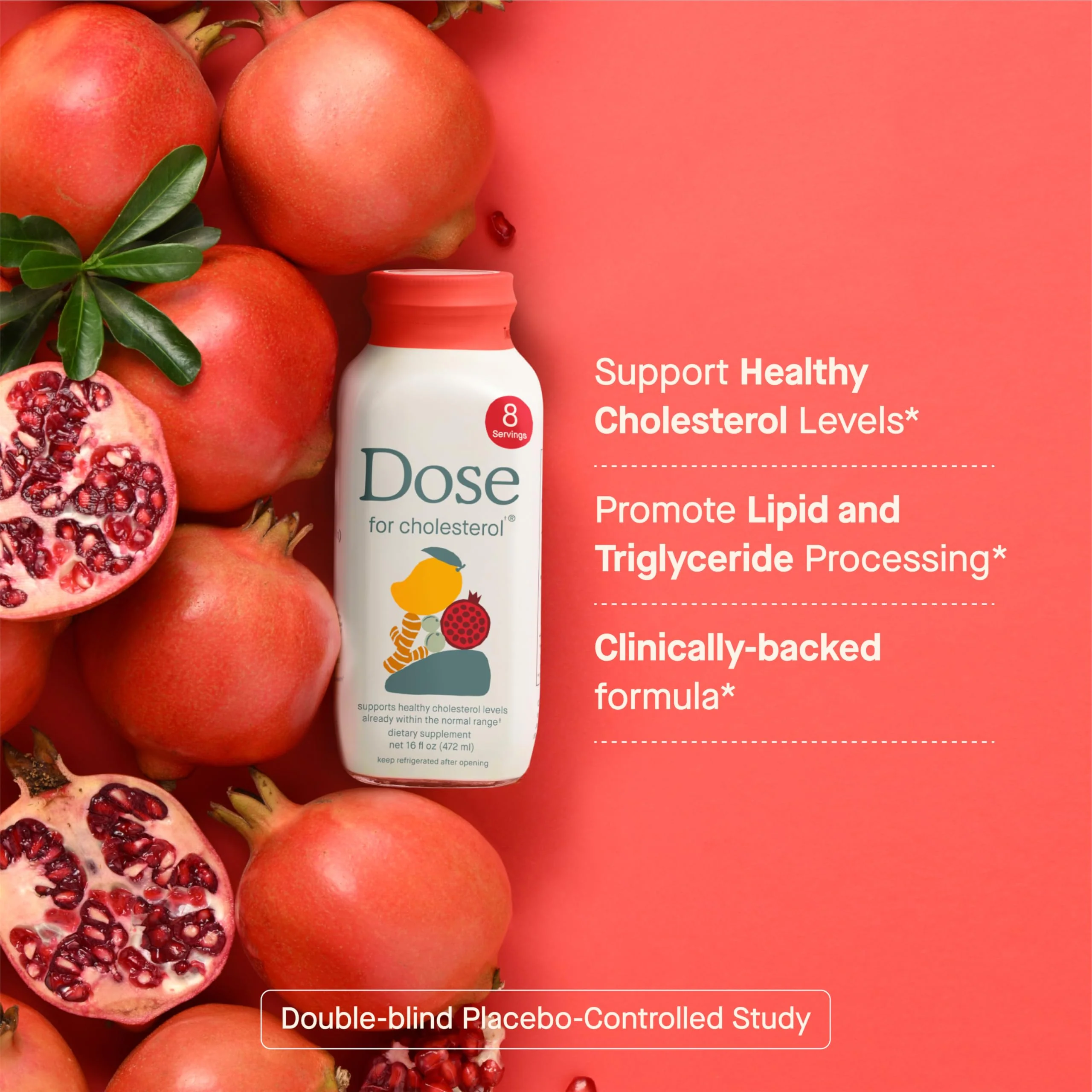 DOSE for Cholesterol – Vegan, Gluten-Free Supplement for Healthy Cholesterol & Cardiovascular Support (16oz Bottle, 6 Pack) - Image 2