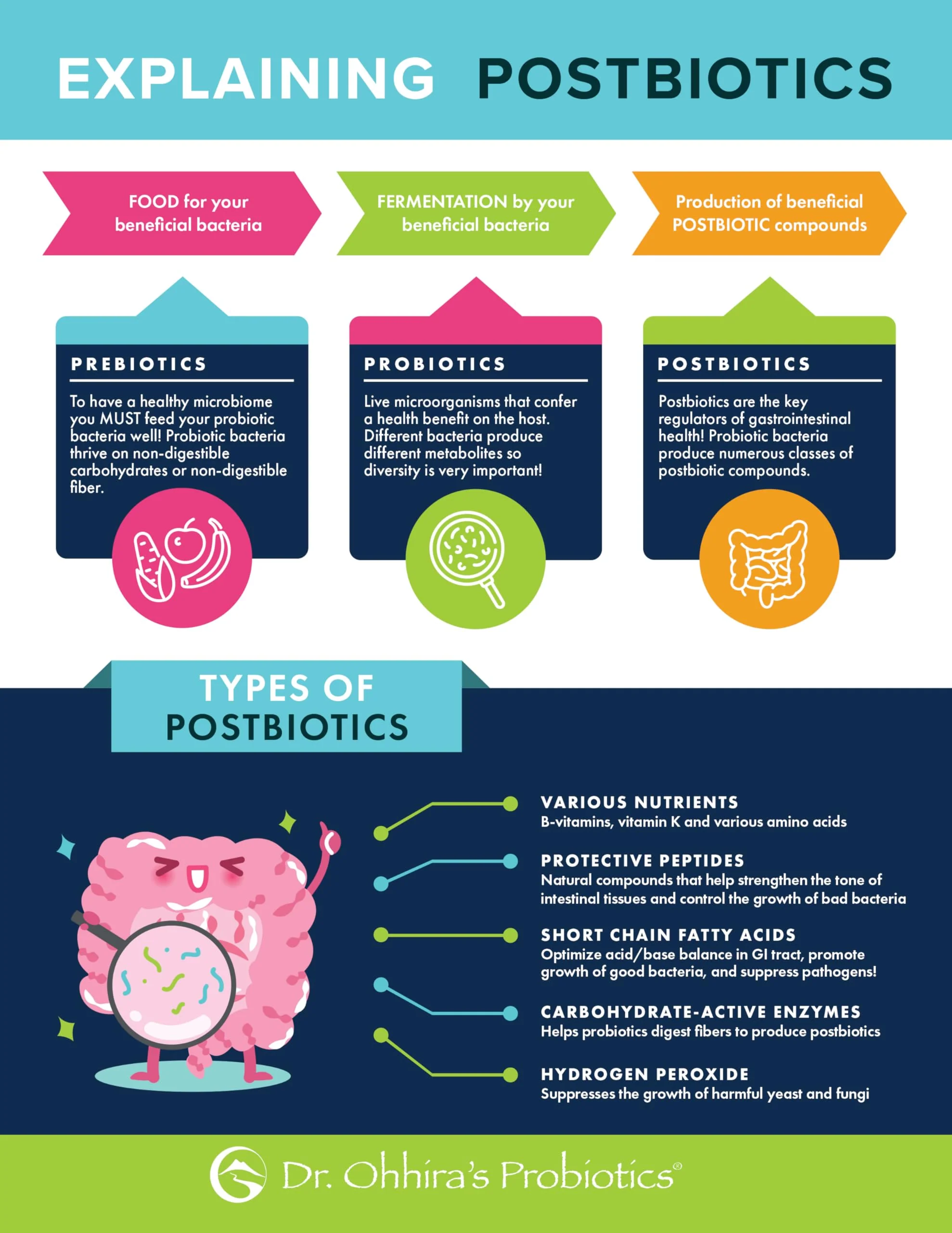 Dr Ohhira's Probiotics Original by Essential Formulas — 3-Year Fermented Prebiotics, Postbiotic Metabolites, 60 Capsules - Image 11