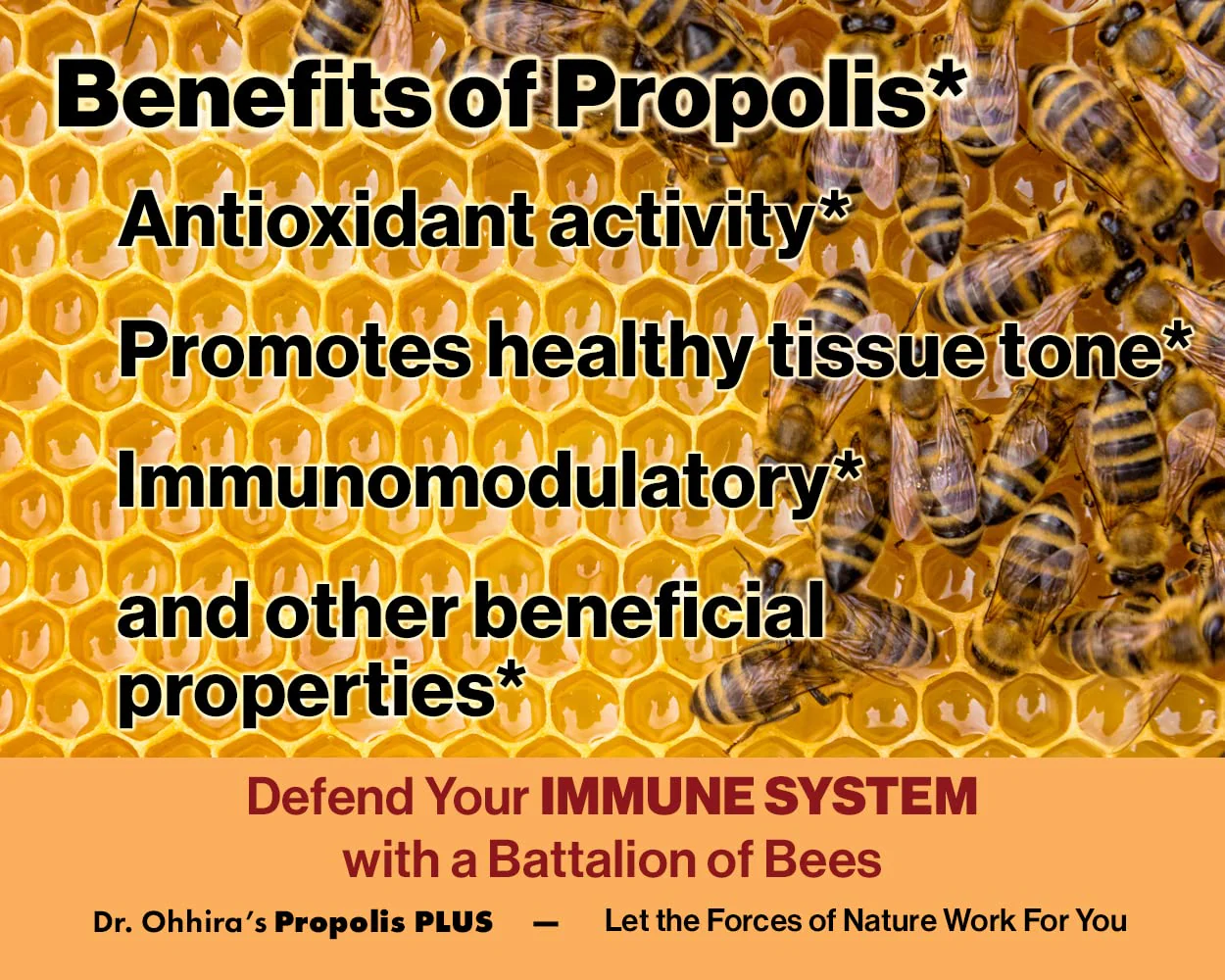 Dr. Ohhira's Propolis Plus 60 Capsules with Brazilian Green Propolis, Probiotic Extract and Astaxanthin - Image 4