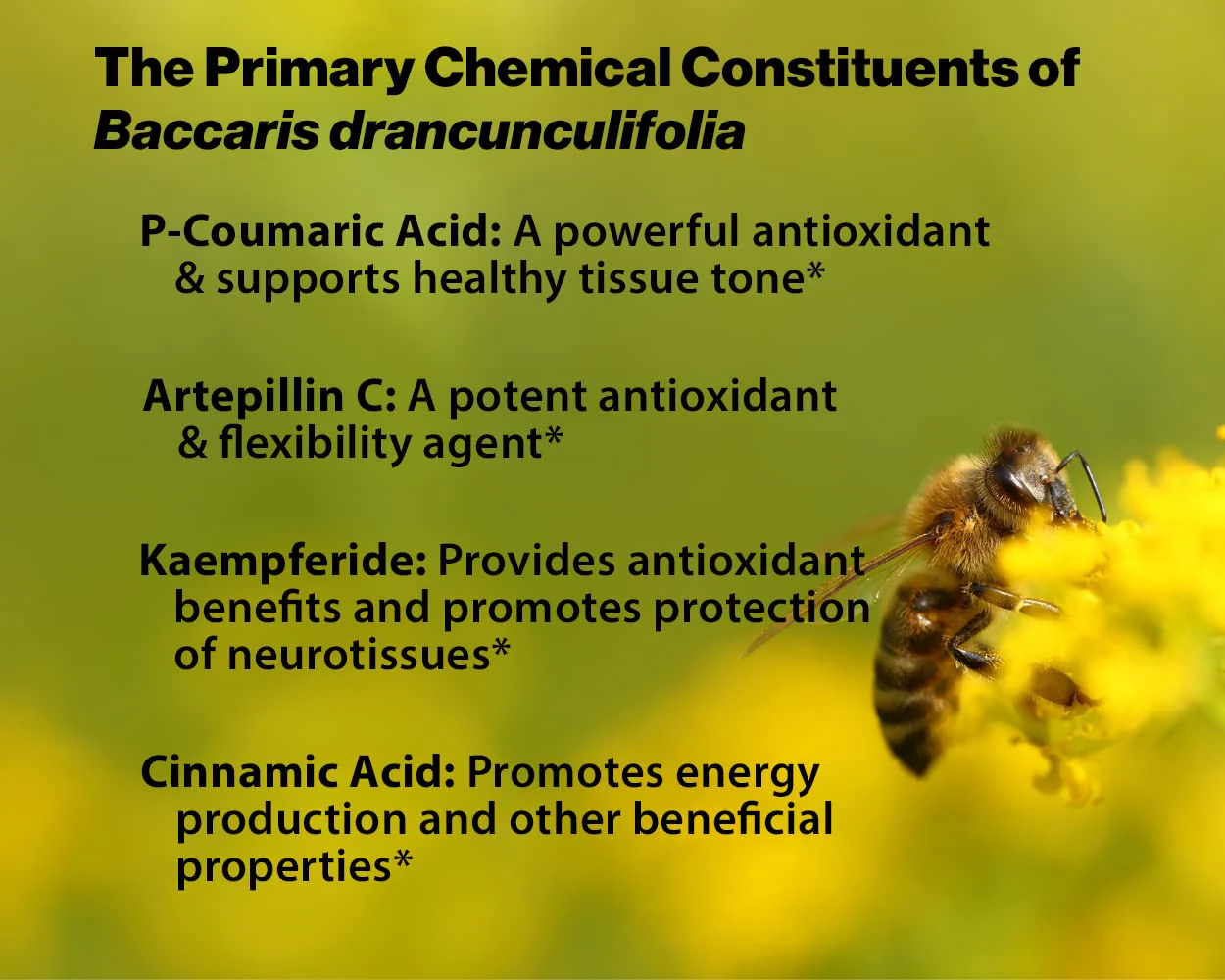 Dr. Ohhira's Propolis Plus 60 Capsules with Brazilian Green Propolis, Probiotic Extract and Astaxanthin - Image 5