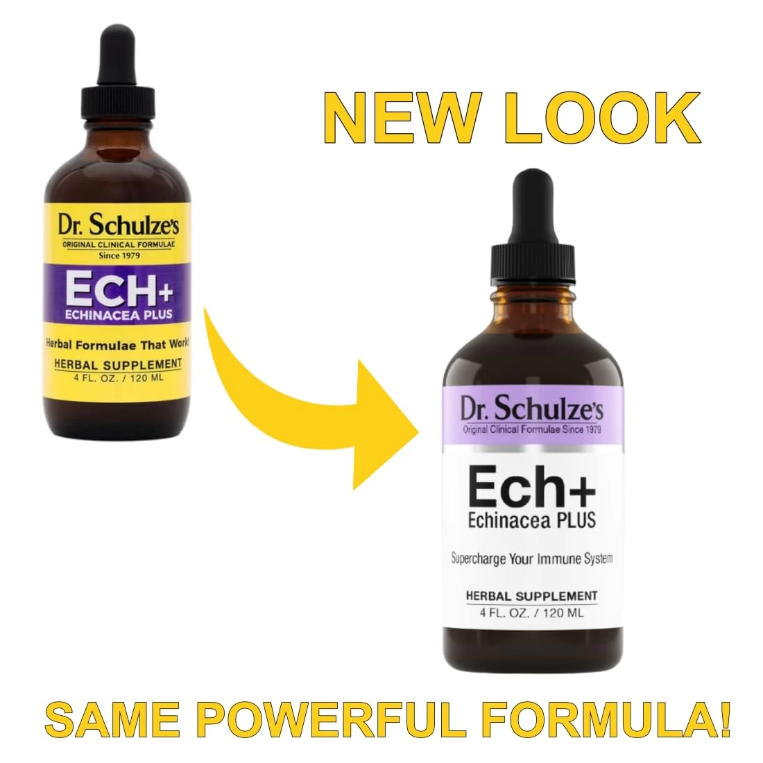 Dr. Schulze's Echinacea Plus - Organic Echinacea Root & Seed, Immune Support, 4 oz - Image 2