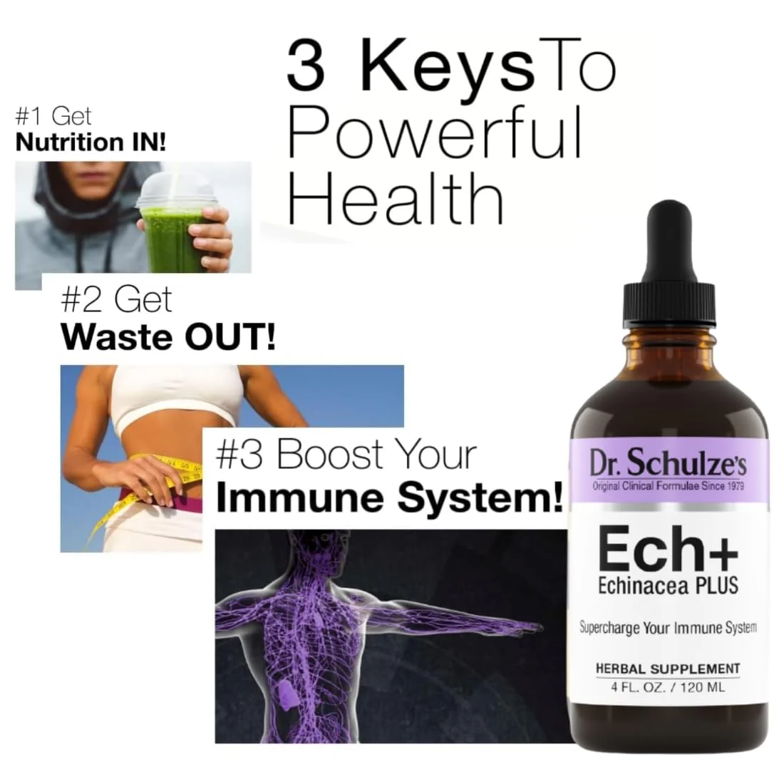 Dr. Schulze's Echinacea Plus - Organic Echinacea Root & Seed, Immune Support, 4 oz - Image 3
