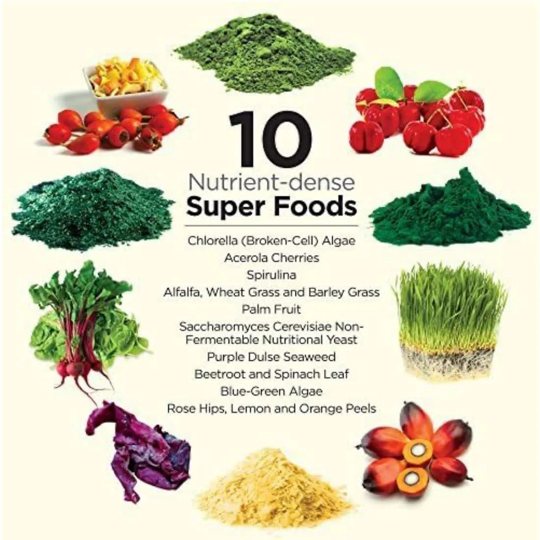 Dr. Schulze's SuperFood Plus – Everyday Plant-Based Multivitamin for Energy & Wellness | Gluten-Free & Dairy-Free | 14 oz 2-Pack - Image 2