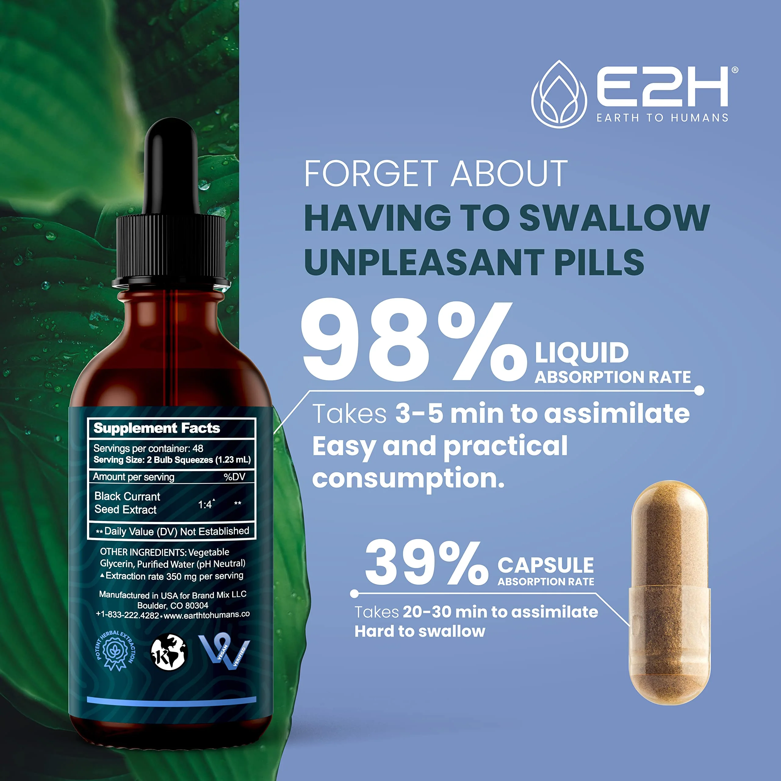 E2H Natural Black Currant Extract – Cold Pressed Seed, Immune Support, Fast-Absorbing Liquid (2 Bottles) - Image 4