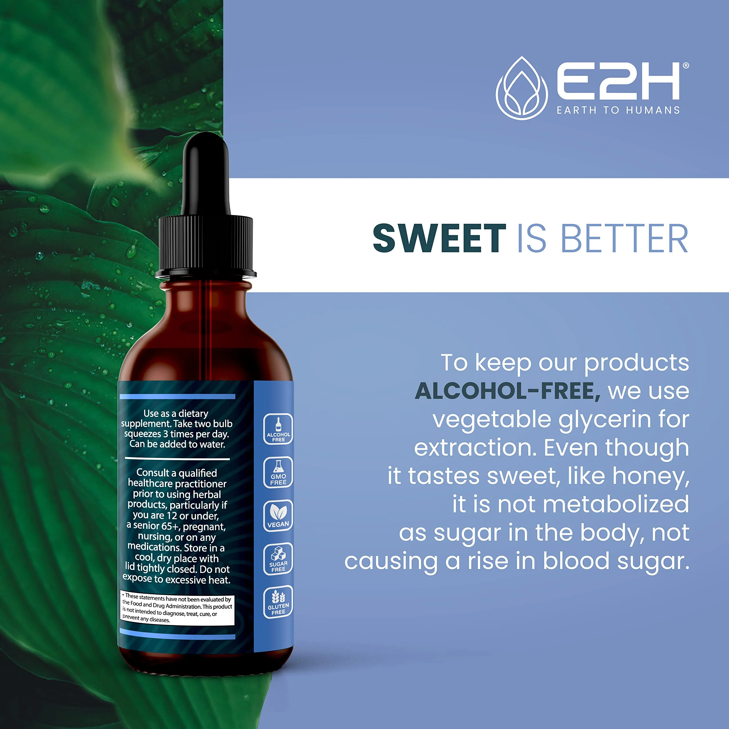 E2H Natural Black Currant Extract – Cold Pressed Seed, Immune Support, Fast-Absorbing Liquid (2 Bottles) - Image 7