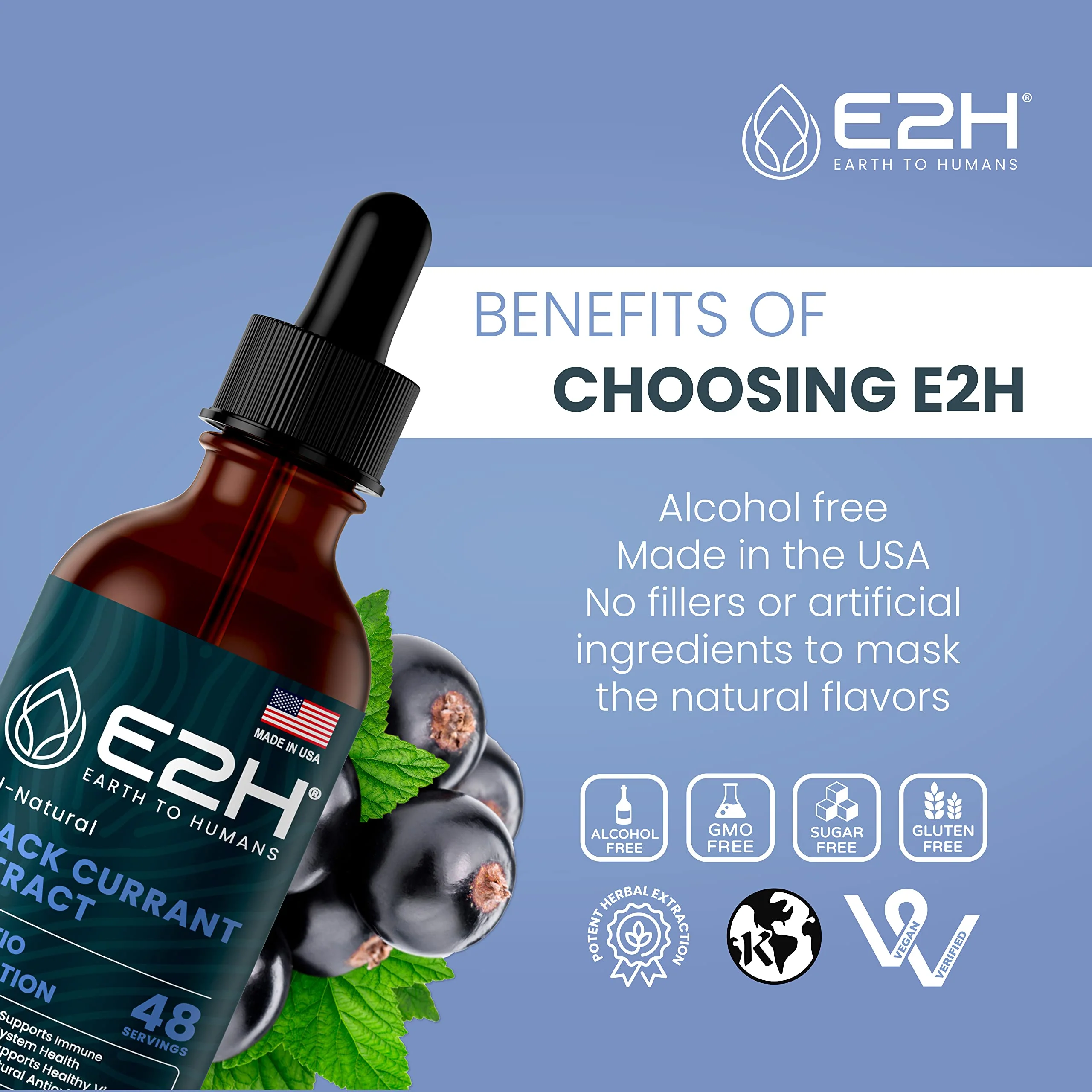 E2H Natural Black Currant Extract – Cold Pressed Seed, Immune Support, Fast-Absorbing Liquid (2 Bottles) - Image 8