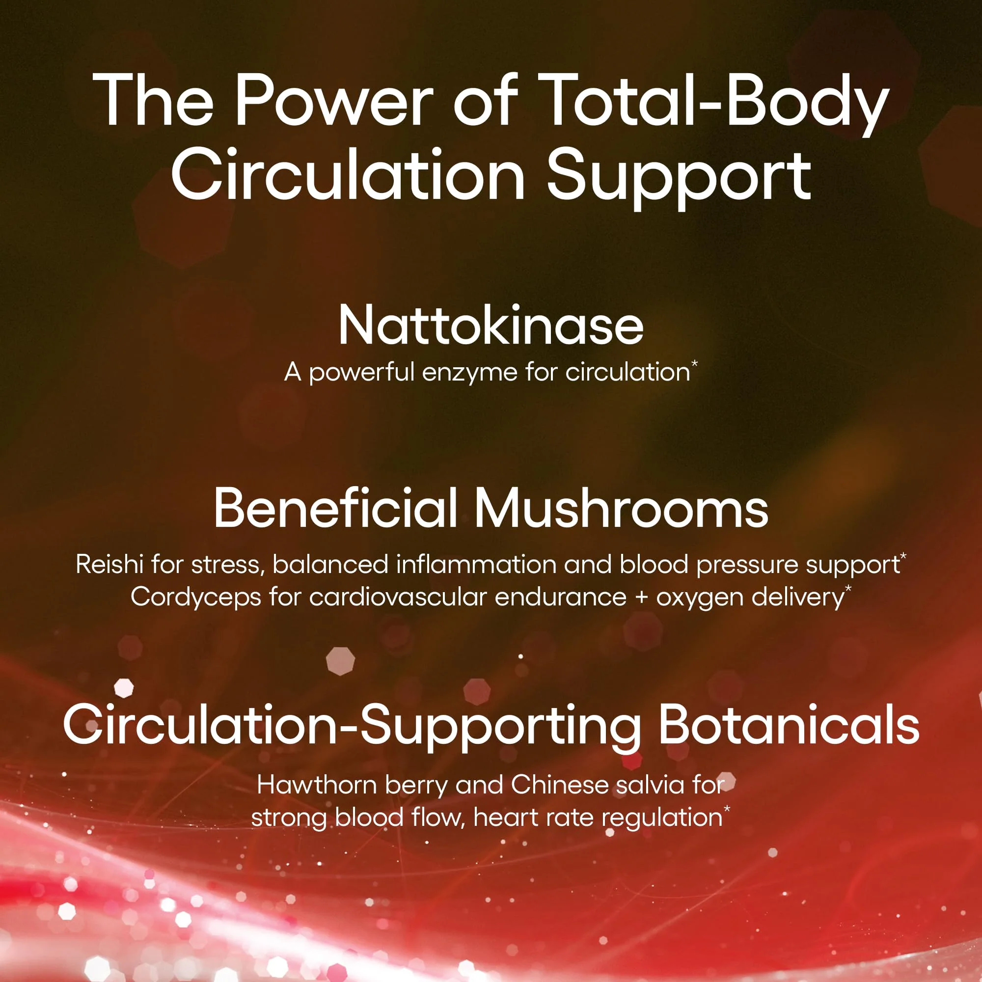 EcoNugenics Circutol: Nattokinase, L-Carnitine & Hawthorn – Heart Health (60 Capsules) - Image 3