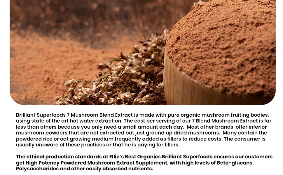 Ellie's Best 7 Mushroom Powder Extract Blend – Organic Reishi, Lion's Mane, Chaga, Turkey Tail, Cordyceps, Maitake & Shiitake – Double Extracted – 16oz / 456 Servings - Image 3