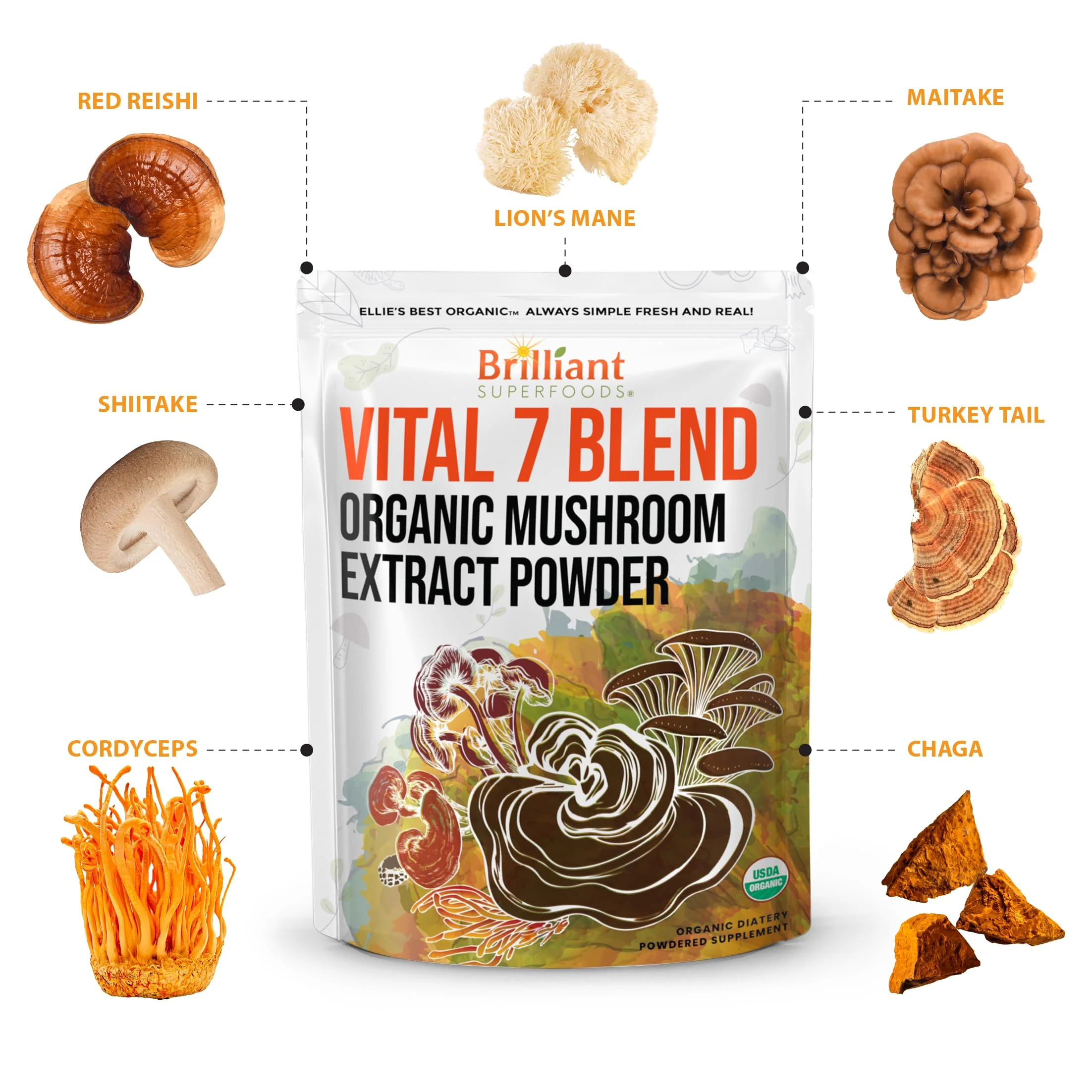 Ellie's Best 7 Mushroom Powder Extract Blend – Organic Reishi, Lion's Mane, Chaga, Turkey Tail, Cordyceps, Maitake & Shiitake – Double Extracted – 16oz / 456 Servings - Image 4