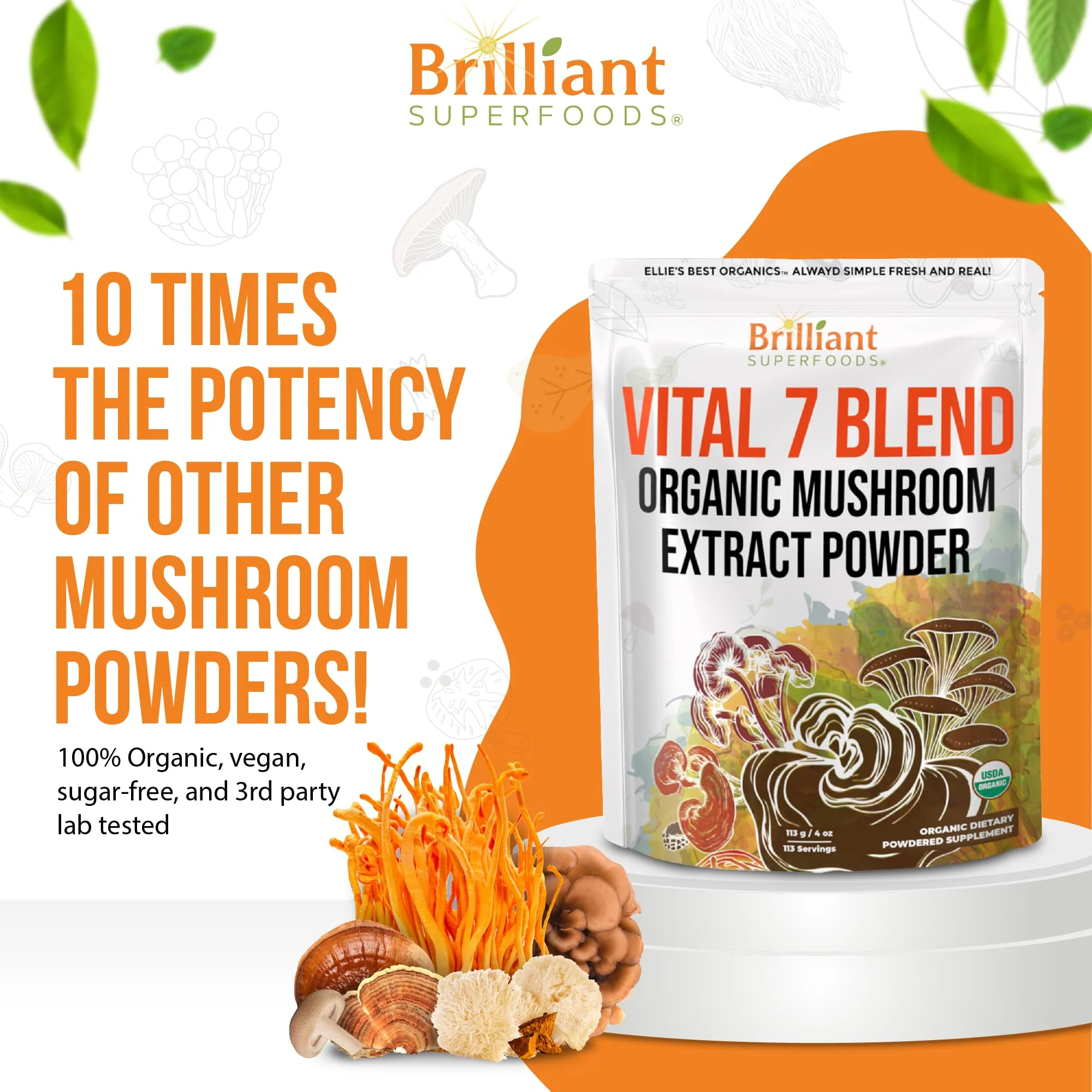 Ellie's Best 7 Mushroom Powder Extract Blend – Organic Reishi, Lion's Mane, Chaga, Turkey Tail, Cordyceps, Maitake & Shiitake – Double Extracted – 16oz / 456 Servings - Image 7