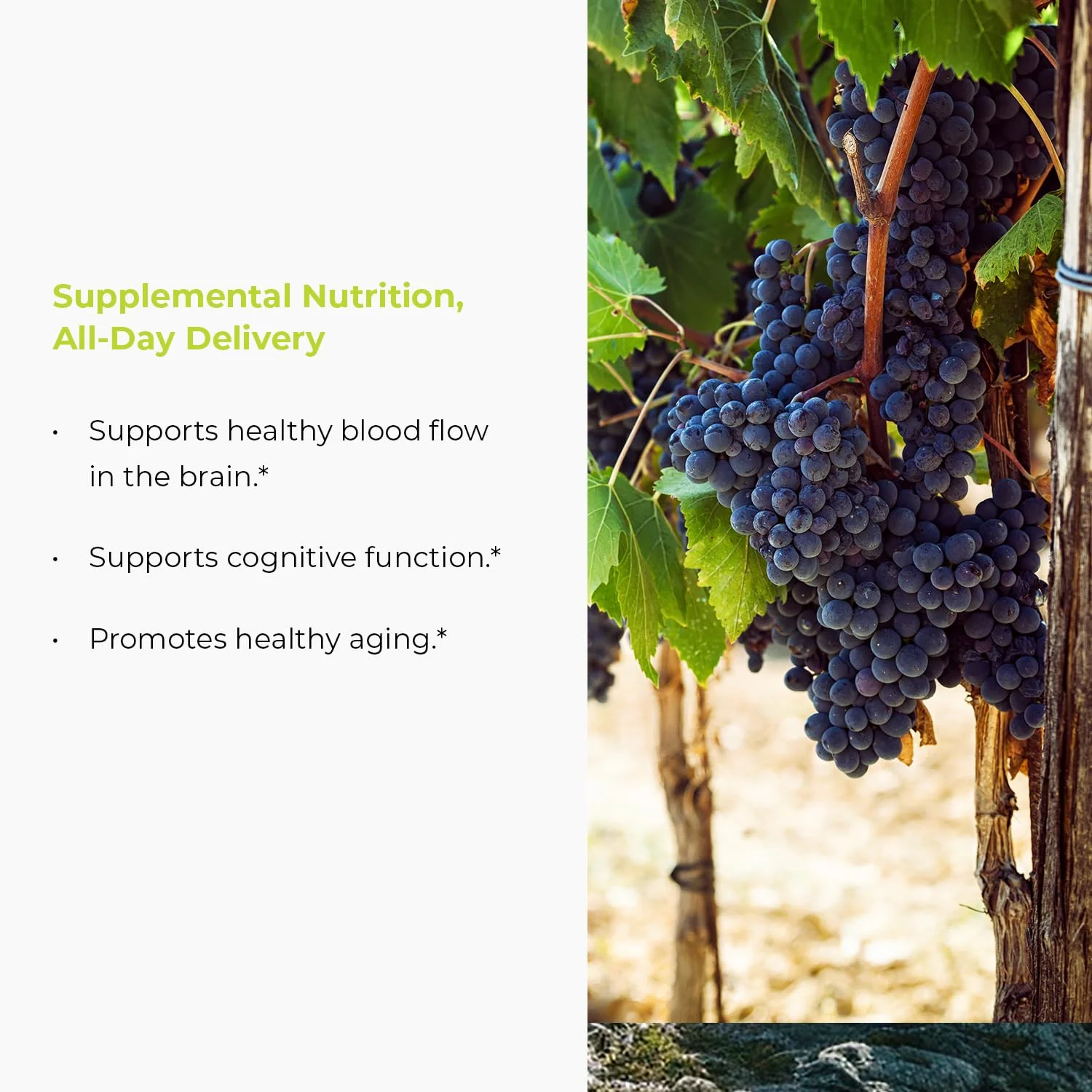 Endur Resveratrol 100mg – Healthy Aging & Cardiovascular Support (Gluten Free, 150 Tablets) - Image 4