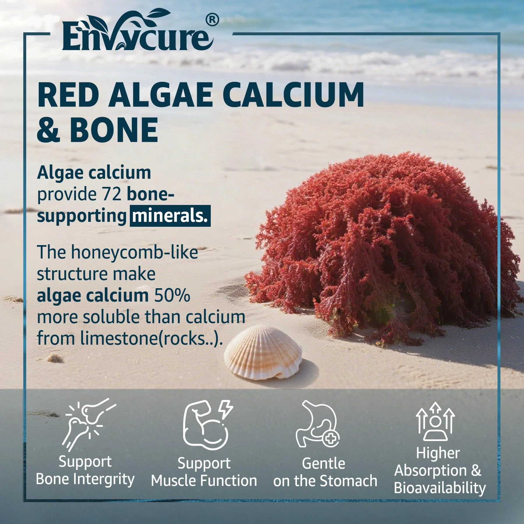 EnvyCure Calcium Gummies 600mg – Ocean Algae Calcium with Vitamin D3, K2, Magnesium | 2-Pack | Vegan, Sugar-Free - Image 12