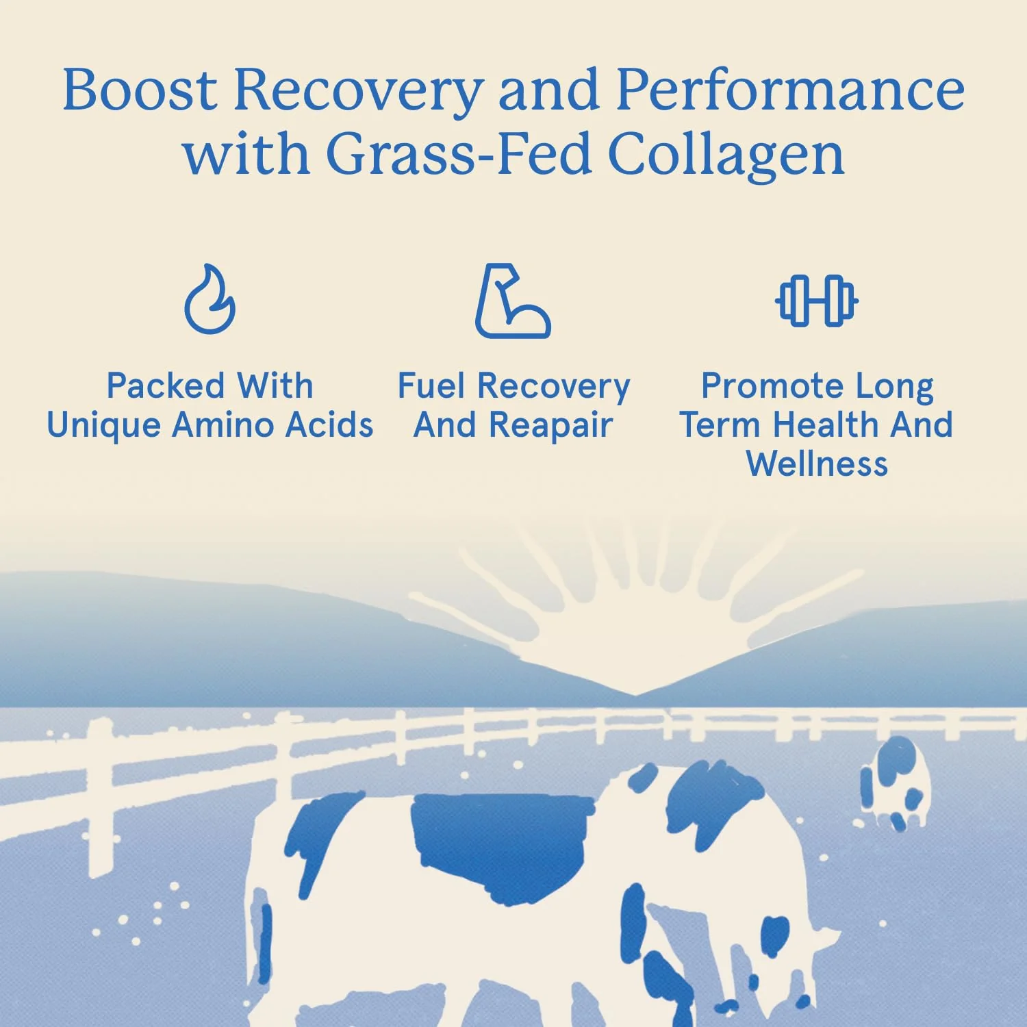 Equip Foods Grass Fed Collagen Powder – Unflavored, 30 Servings, Non-GMO - Image 10