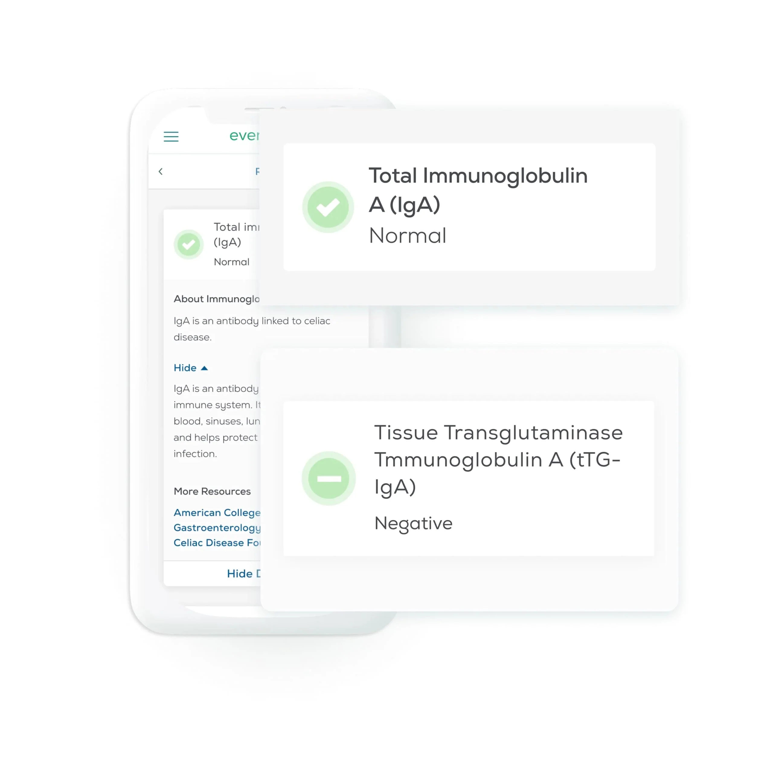Everlywell Celiac Disease Screening Test – At-Home Lab Test (Ages 18+) - Image 4