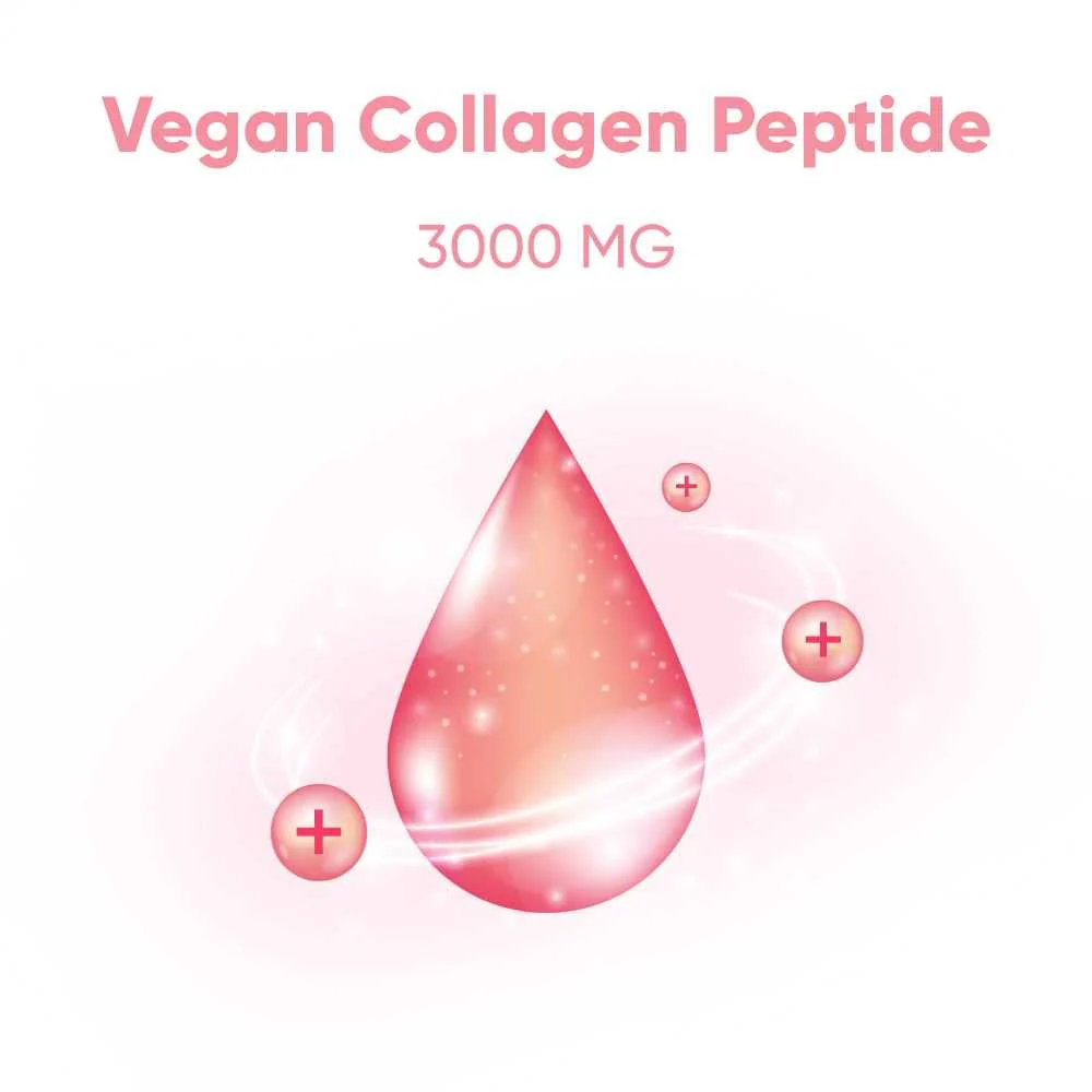 EVERYDAZE Essential Collagen Jelly Stick — 40 Pack (4 x 10ct) | Vegan Collagen Peptide, Pomegranate Flavor - Image 2