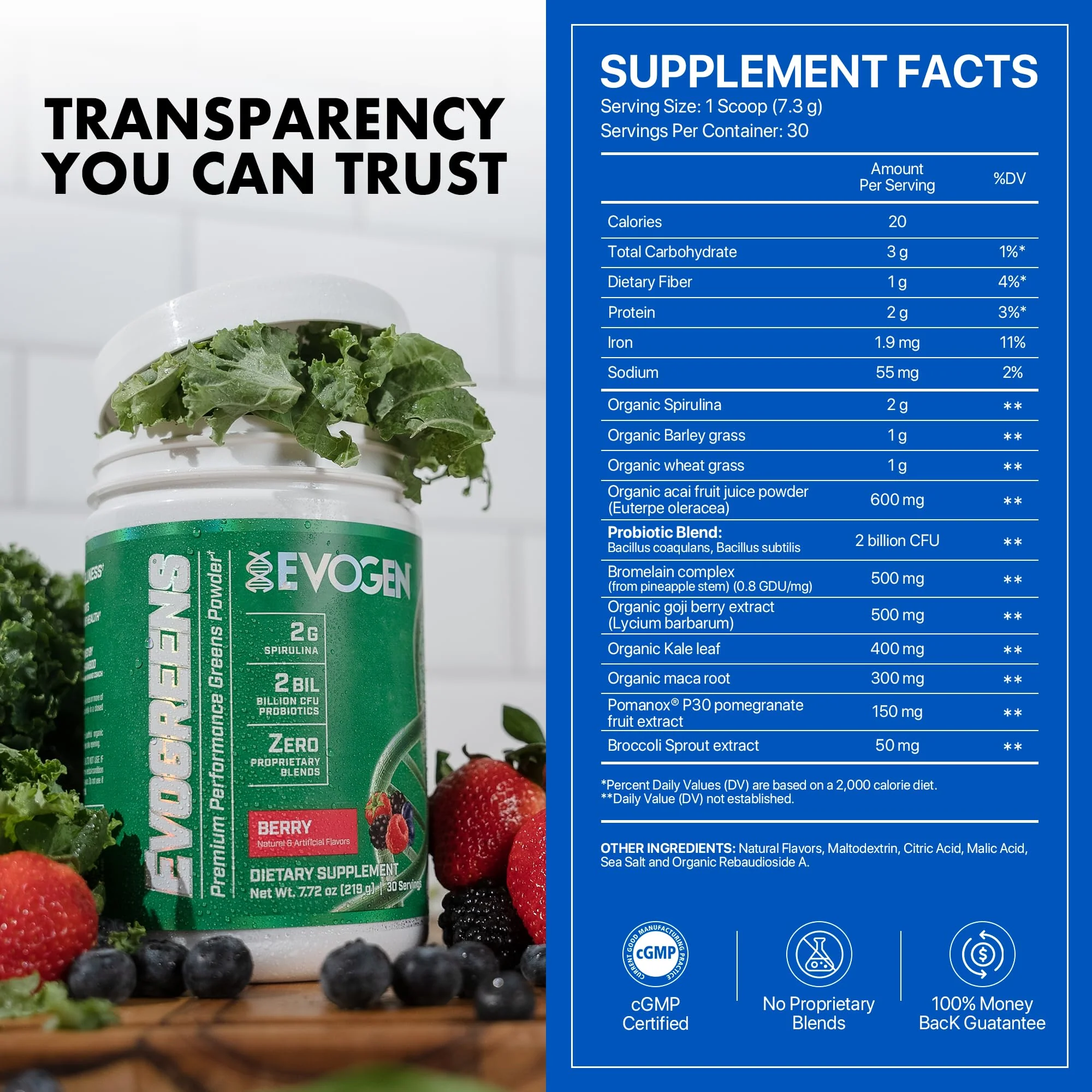Evogen Evogreens - Super Greens Powder | Recovery, Wellness & Immunity | Berry | 30 Servings - Image 6