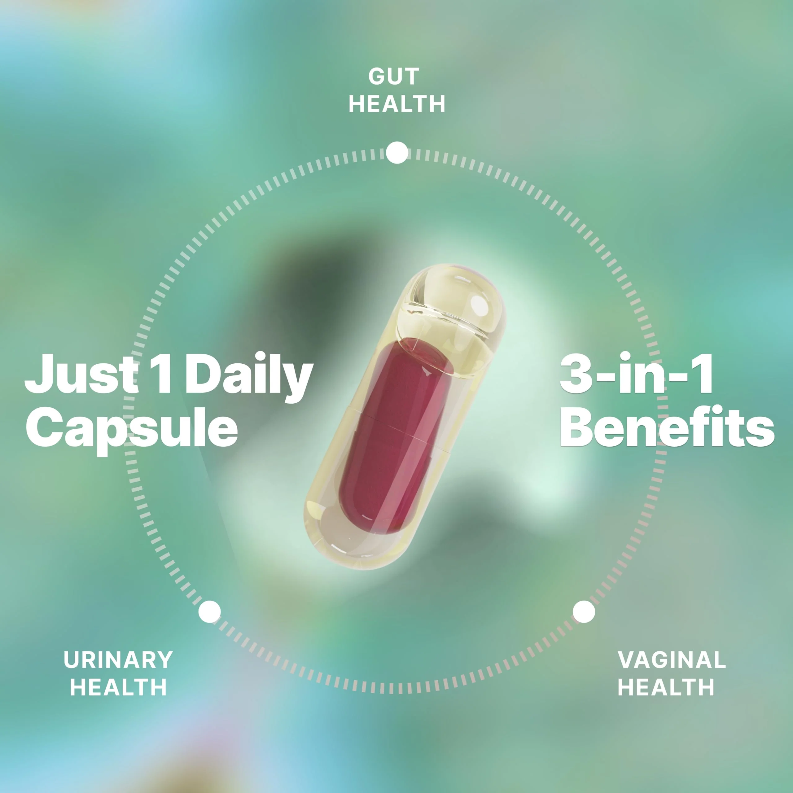 Evvy Women's 3-in-1 Complete Probiotic | Daily Gut, Urinary & Vaginal Health | 30 Day Supply - Image 3