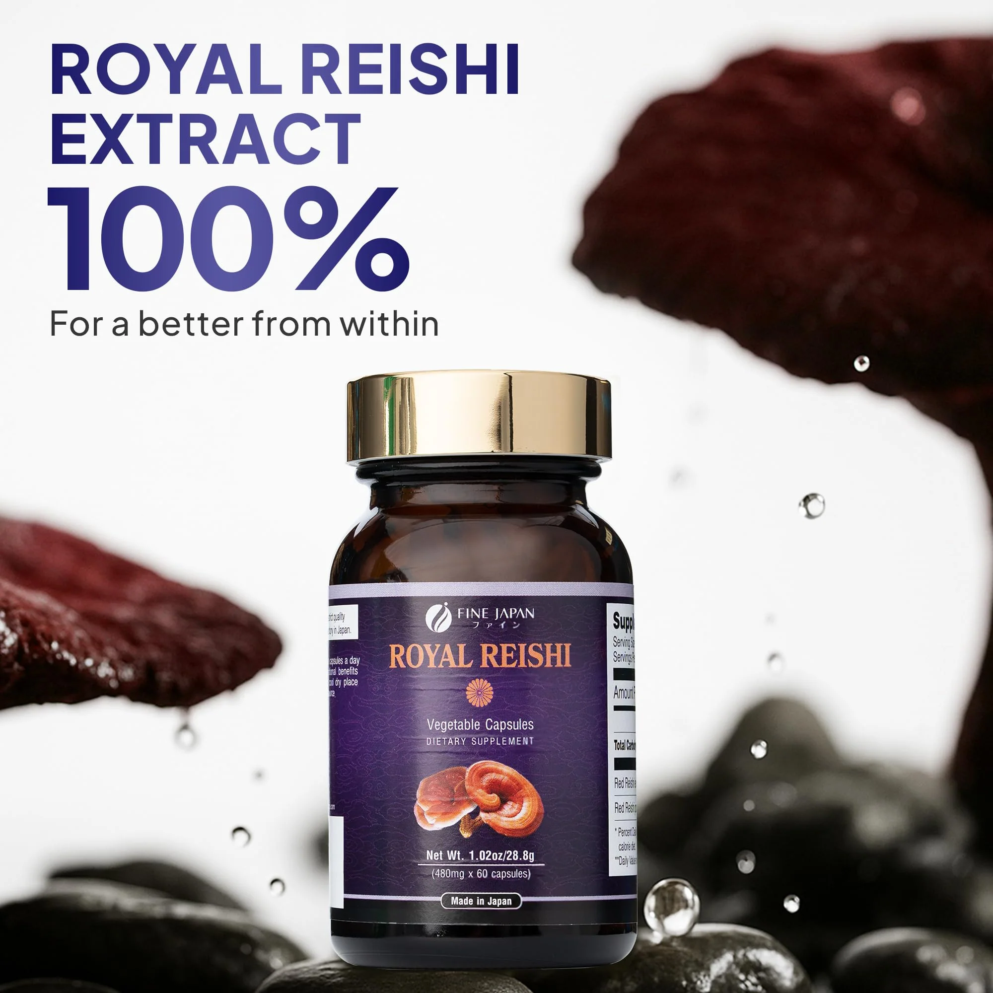 FINE JAPAN Organic Reishi Mushroom Capsules-Organic Mushroom Extract Supplement to Boost Your Immune System Health Dynamic Mushroom - 60 Capsules - Image 5