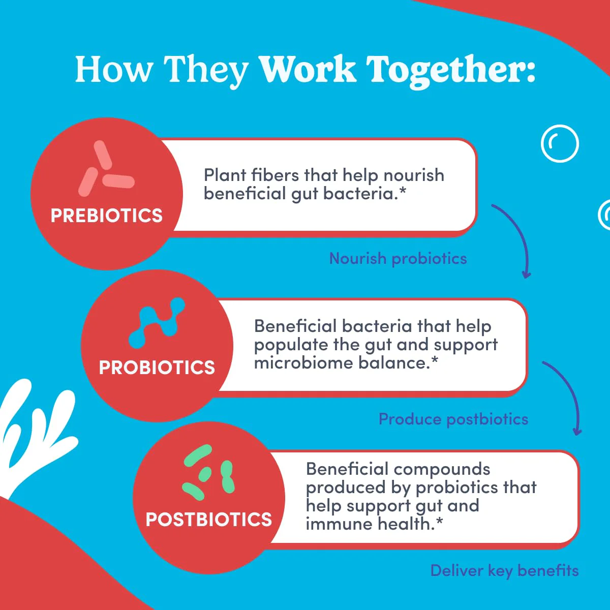 FIRST DAY Teens’ Gut Sustainer Gummies – 3-in-1 Prebiotic, Probiotic & Postbiotic - Image 13