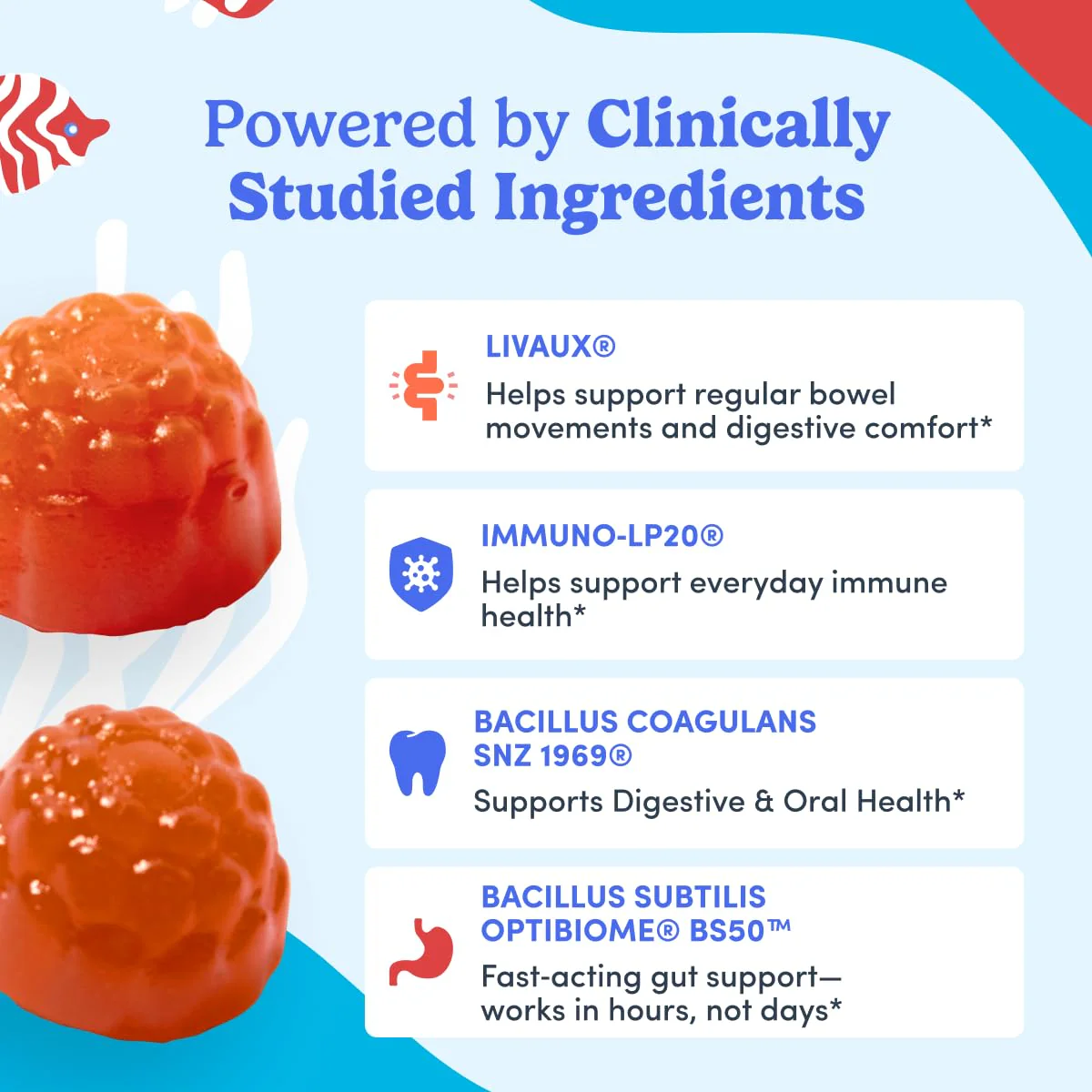 FIRST DAY Teens’ Gut Sustainer Gummies – 3-in-1 Prebiotic, Probiotic & Postbiotic - Image 14