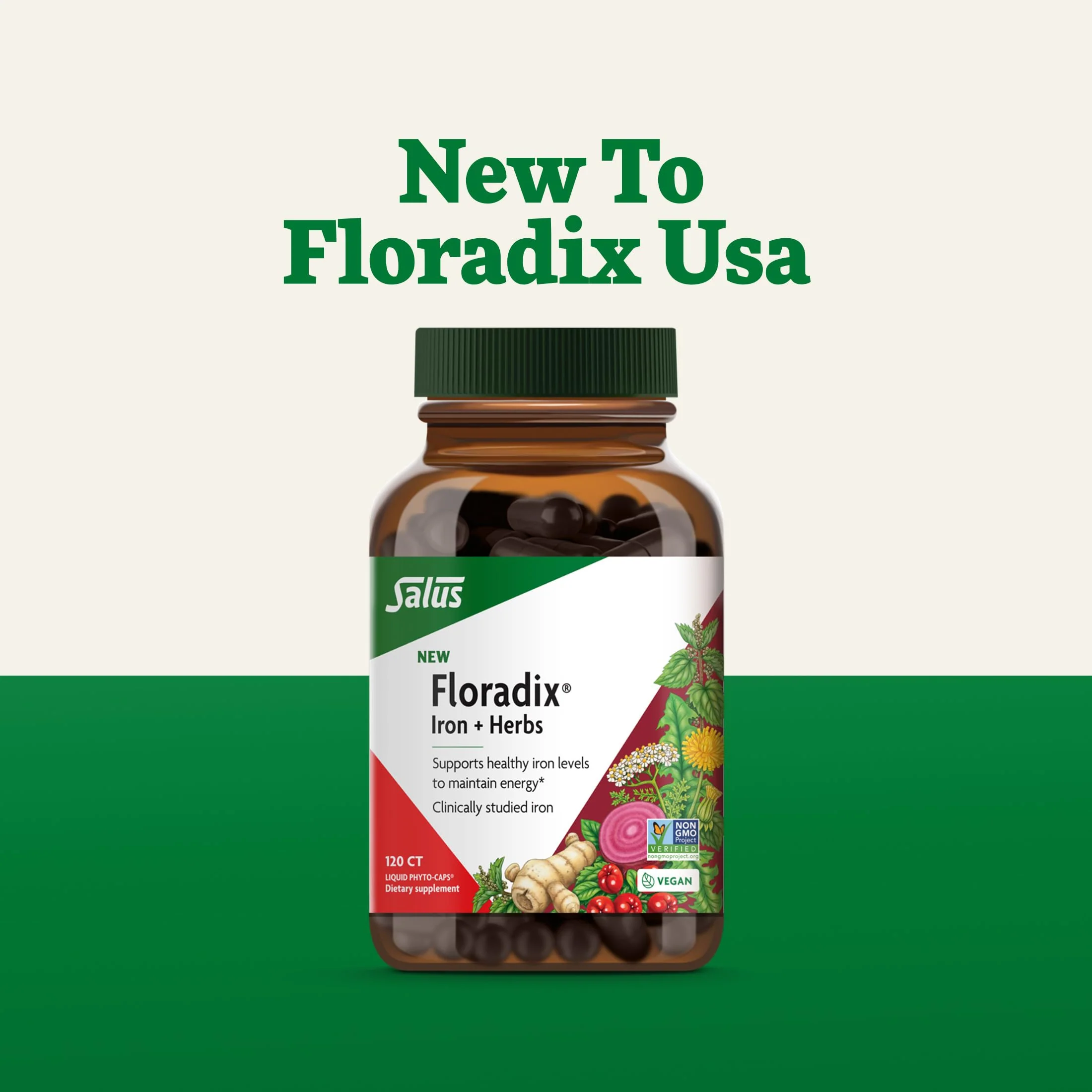 Floradix Iron + Herbs – Vegan Liquid Iron for Energy Support (120 Phyto-Caps) - Image 18