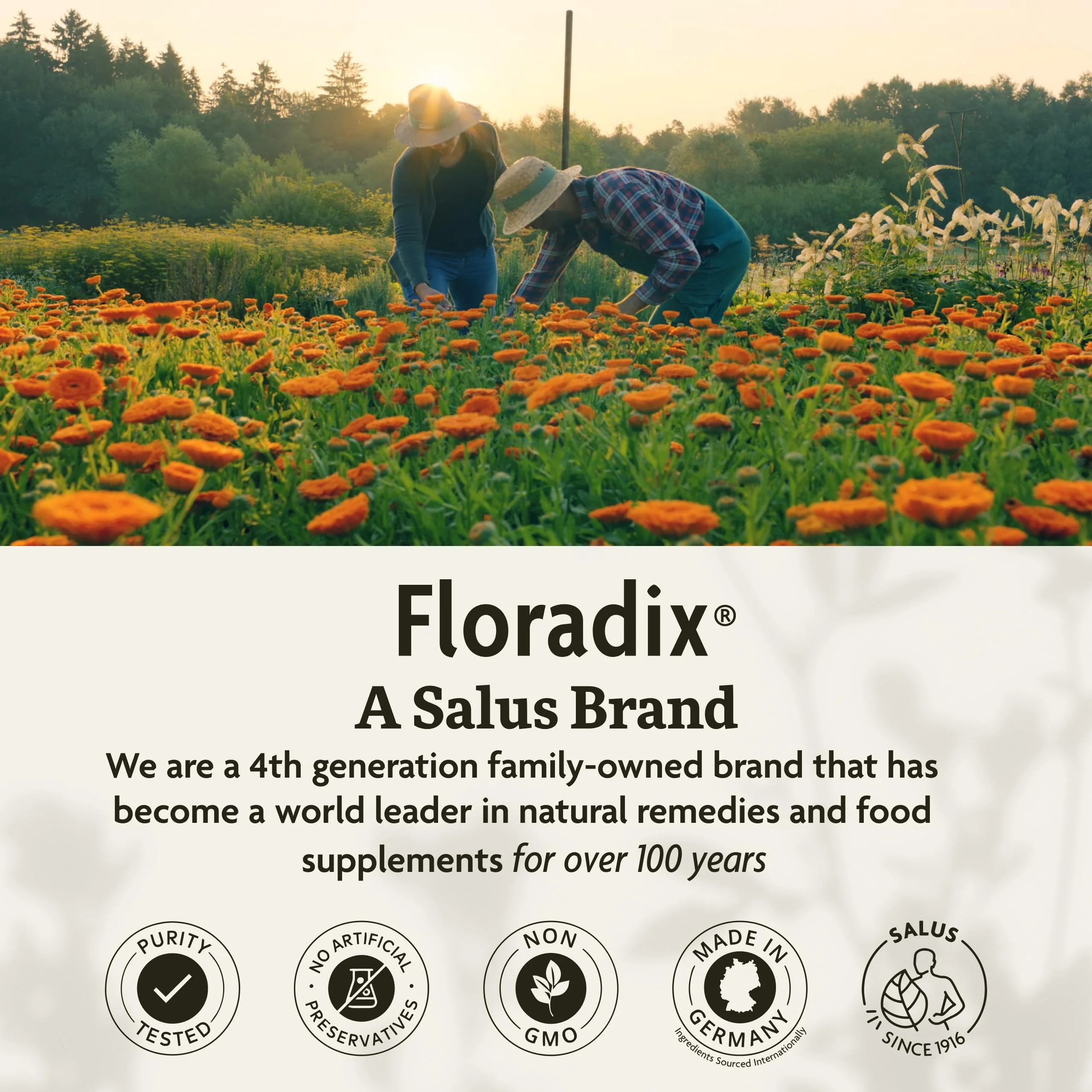 Floradix Iron + Herbs – Vegan Liquid Iron for Energy Support (120 Phyto-Caps) - Image 8