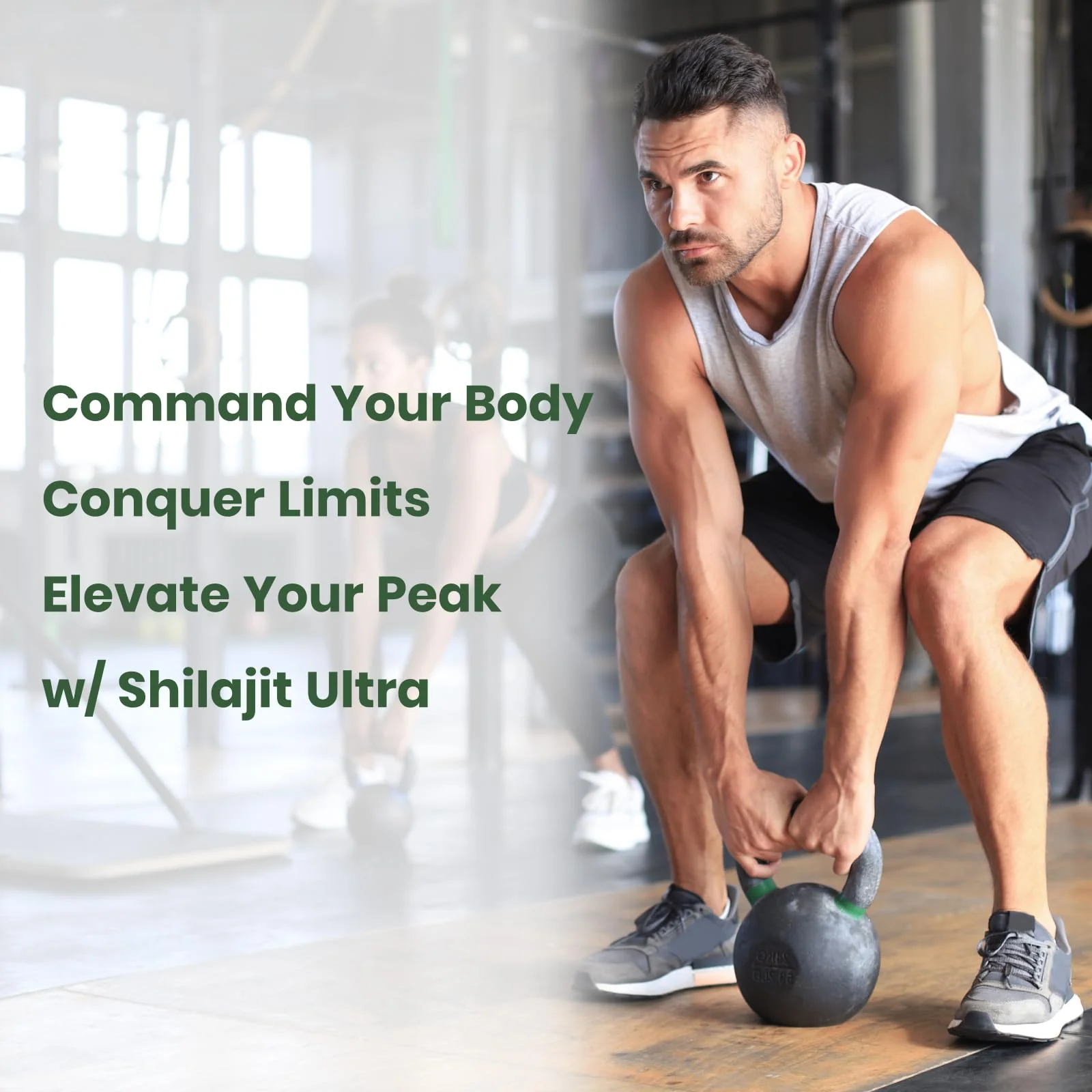 Flynew Shilajit — Premium Fulvic Acid Shilajit with L-Arginine, 60 Capsules, Made in USA - Image 16