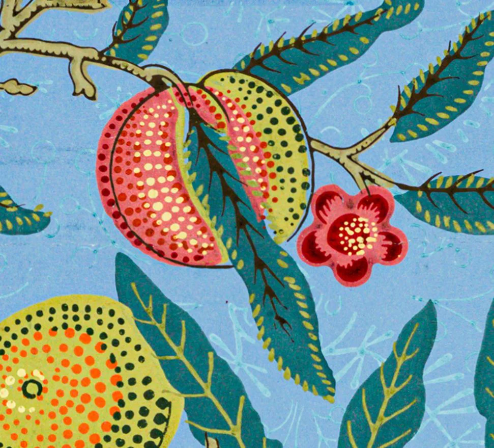 "Four Fruits" by William Morris on Canvas, Framed Prints, Framed Canvas, Acrylic or Print-only - Image 2
