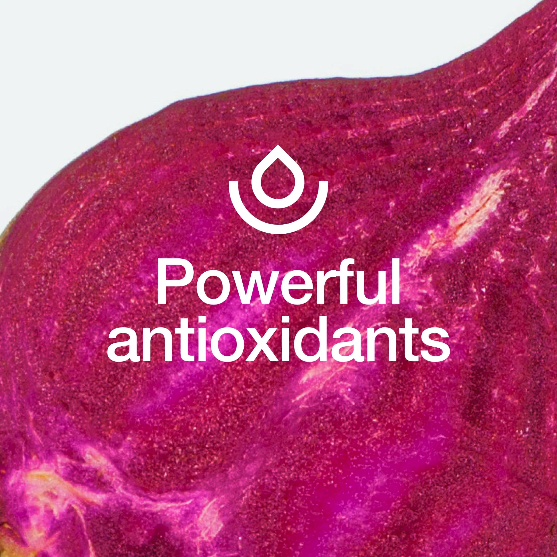 Fresh Nutrition Organic Beet Root Capsules – 2400mg Potent, Vegan, Gluten-Free (90 Caps x2) - Image 5