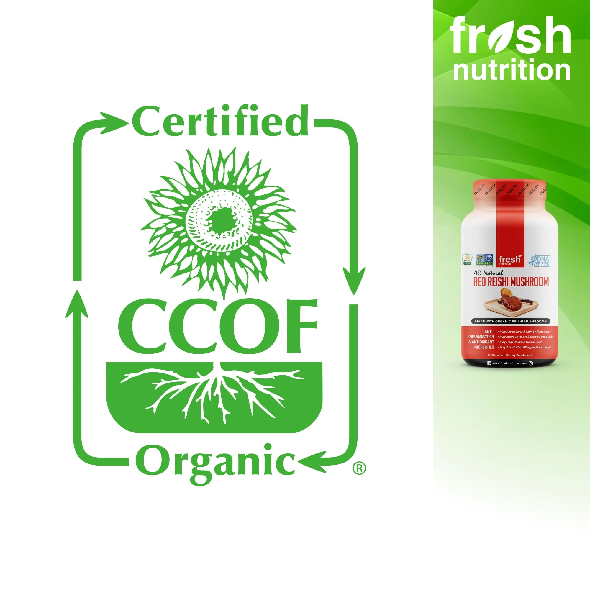 Fresh Nutrition Organic Reishi Mushroom Capsules – Alpha-Glucan Rich Ganoderma Lucidum, 1500mg Serving, Third-Party Tested – 90 Veggie Caps (Pack of 2) - Image 10