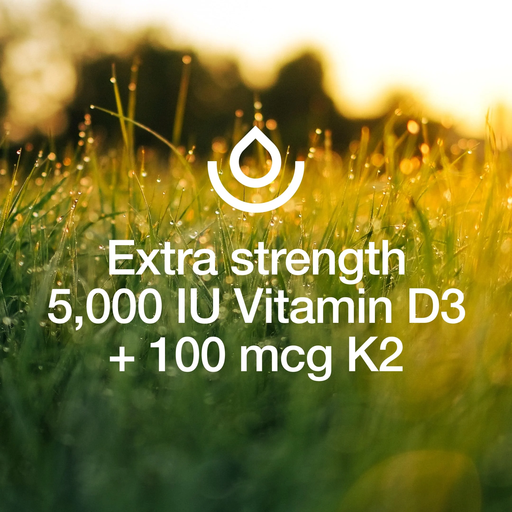 Fresh Nutrition Vegan Vitamin D3 + K2 Capsules – 5000 IU D3 + 100 mcg K2 MK-7 (Pack of 2) - Image 5