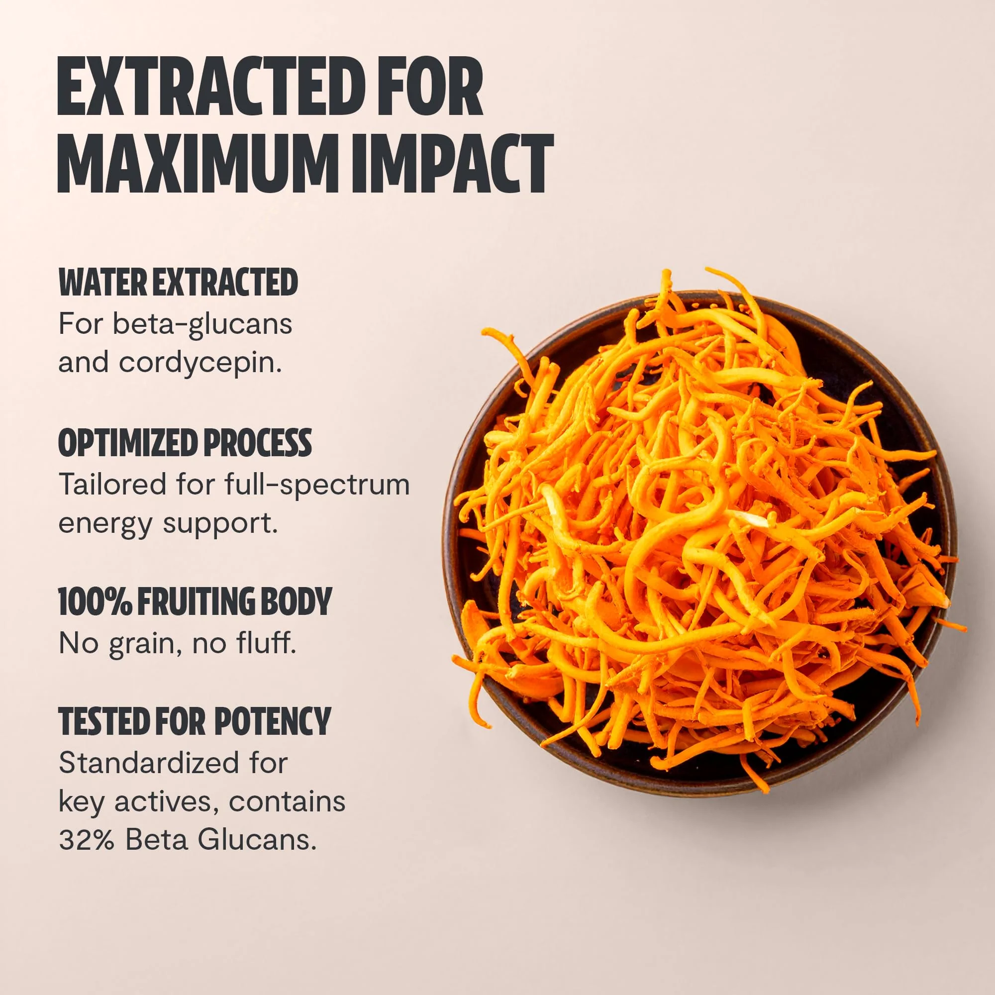 FreshCap Mushrooms Cordyceps Capsules 10,000mg | Energy Support & Nootropic - Image 11