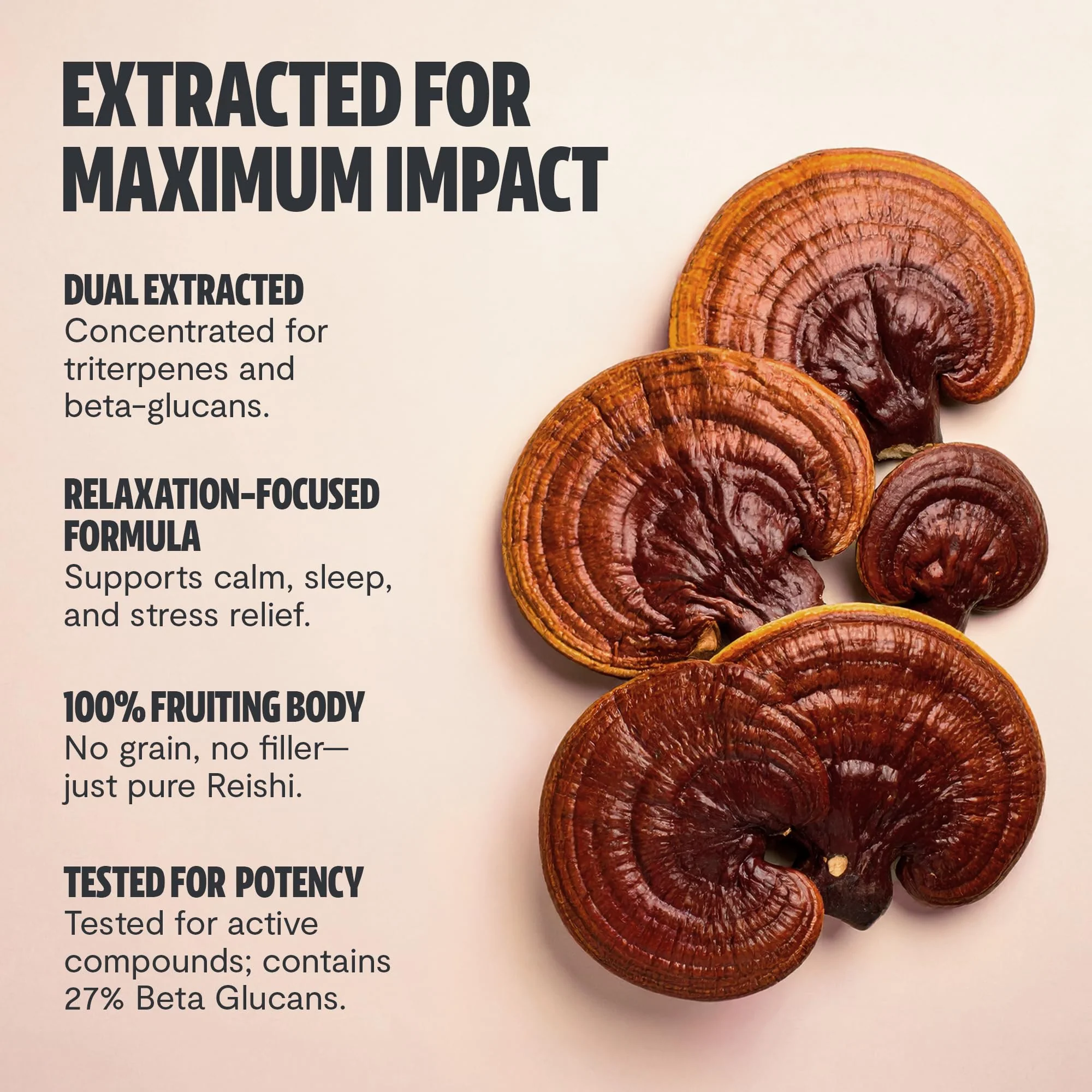 FreshCap Mushrooms Reishi Powder — 14,000mg Organic Dual-Extract, 60 Servings - Image 13