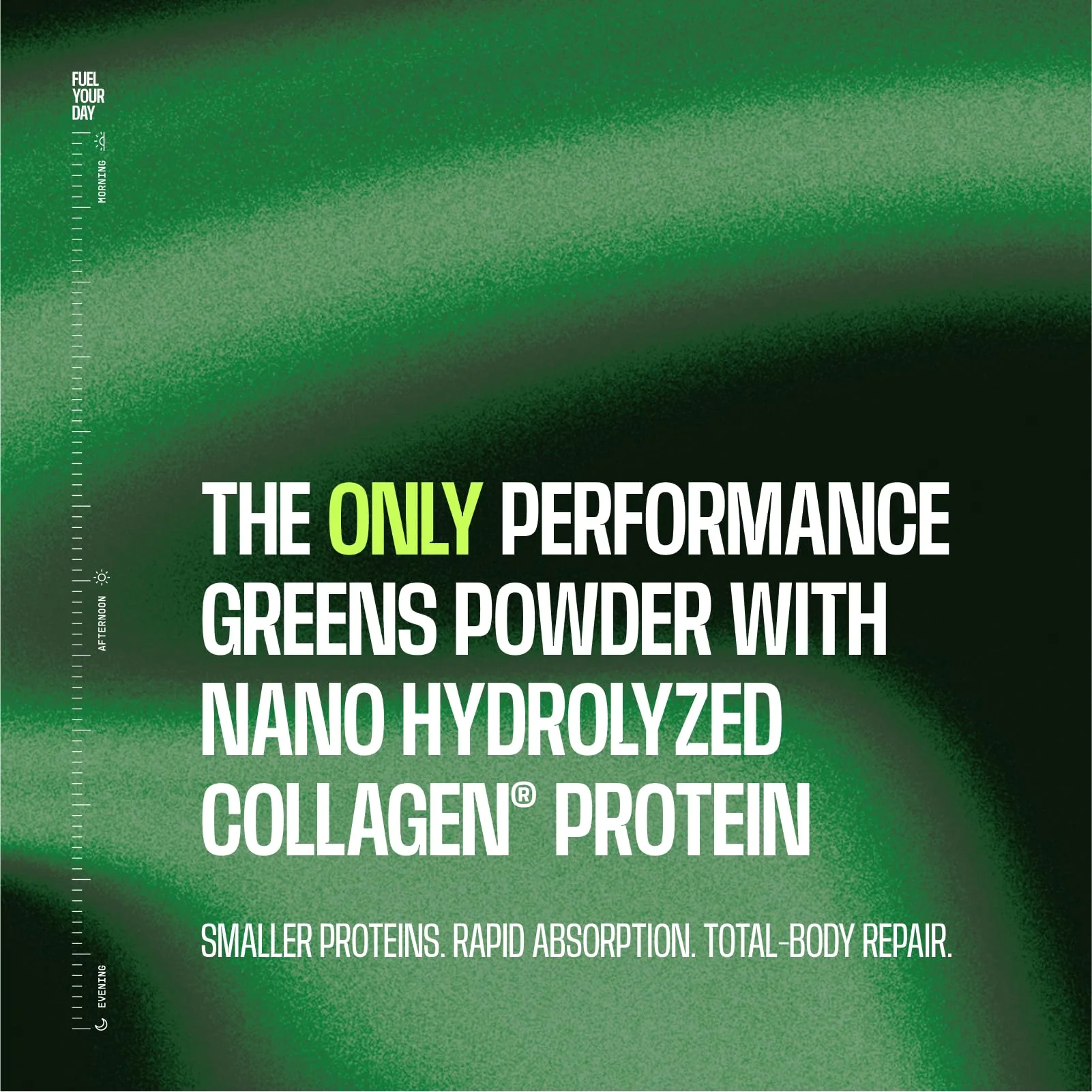 Frog Fuel Performance Greens Protein Powder – Nano-Hydrolyzed Protein, 9g Protein, 5B CFU Probiotics, Lemon Lime, 30 Servings - Image 12