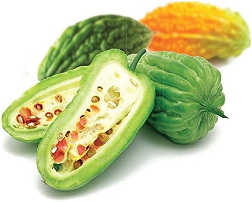 Gabby Insul Care Bitter Melon Natural Herbal Extracts (10:1) Active 500mg 240 Capsules Made in USA - Image 2