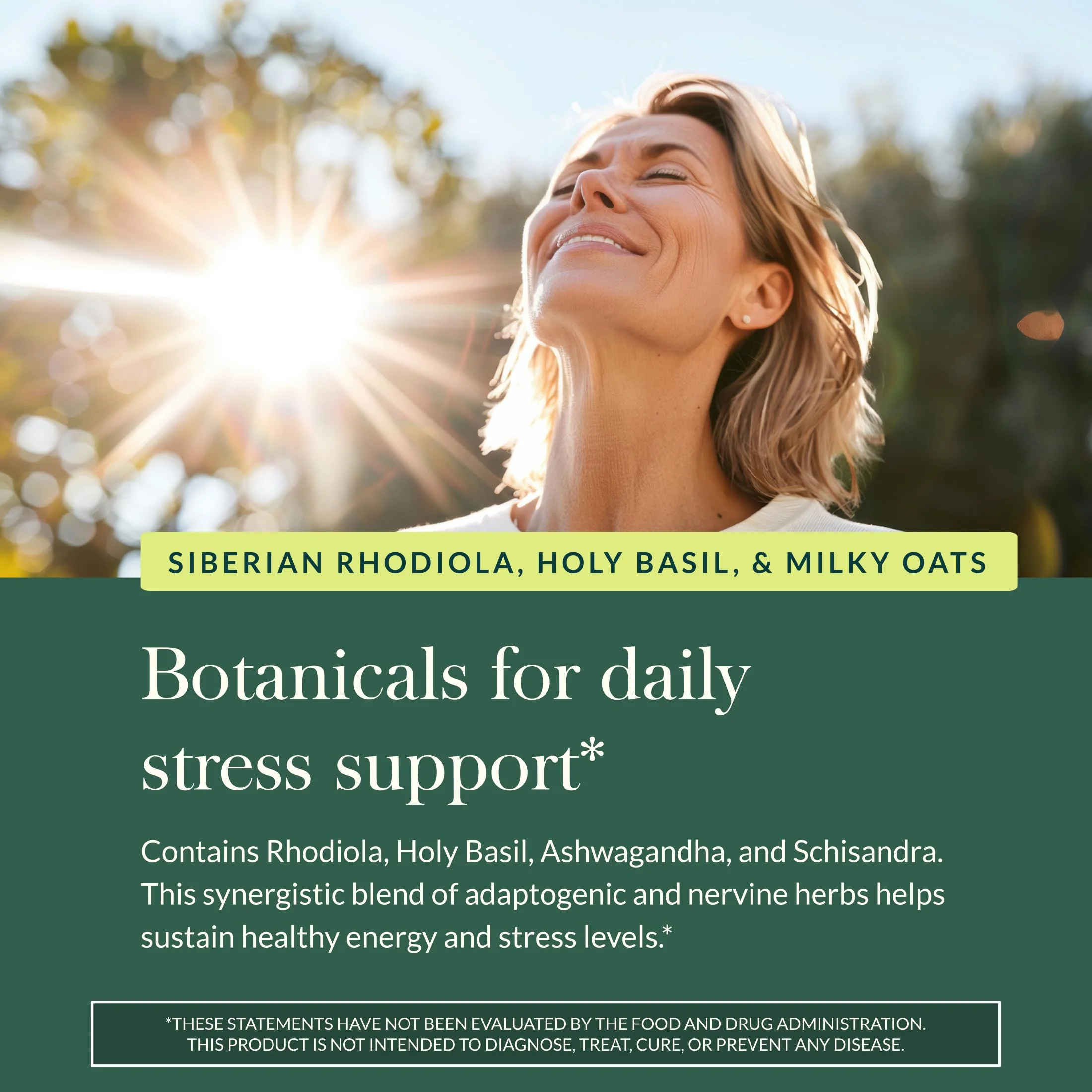 Gaia Herbs Adrenal Health Daily Support - Ashwagandha, Holy Basil & Schisandra | 120 Vegan Liquid Phyto-Caps (60 Servings) - Image 14