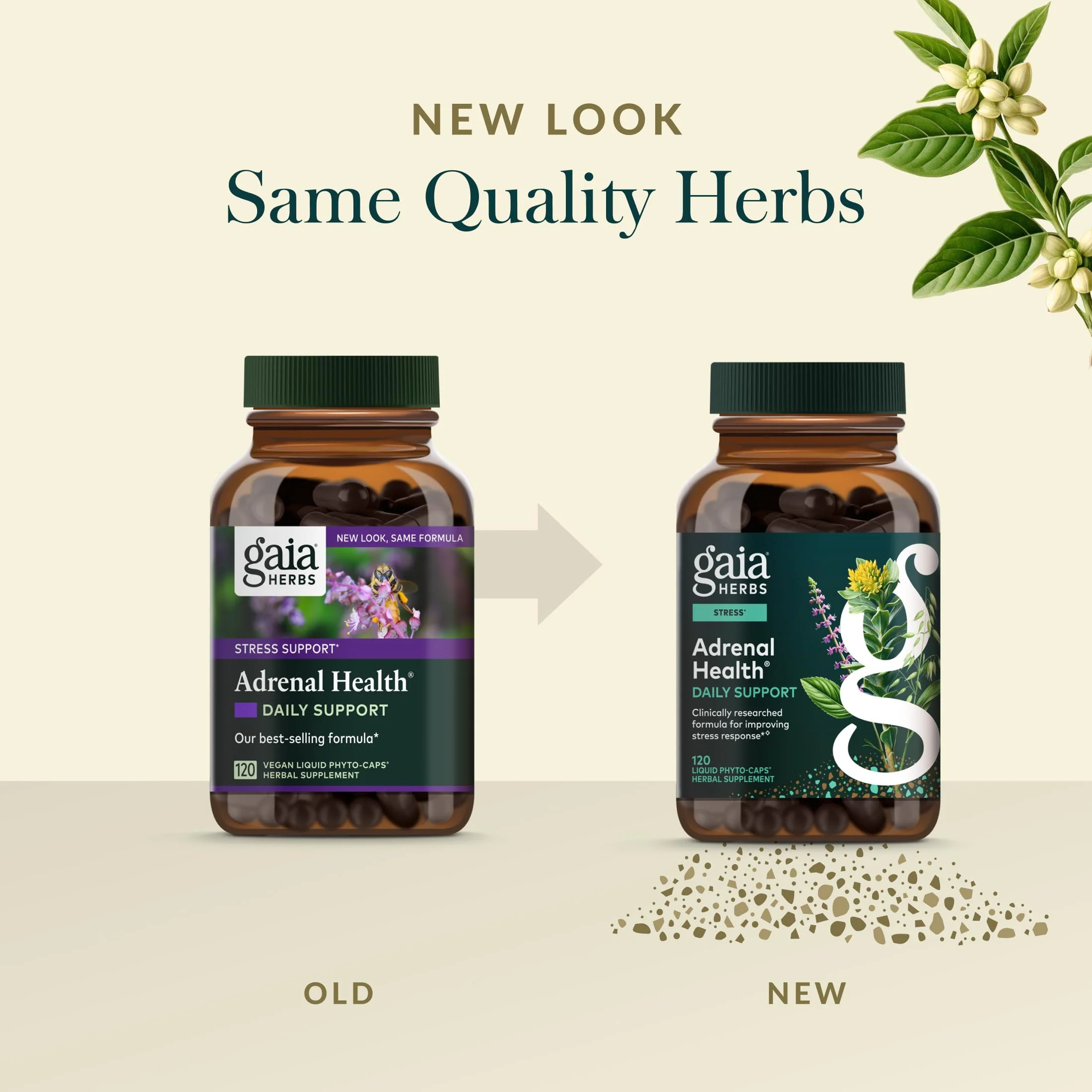 Gaia Herbs Adrenal Health Daily Support - Ashwagandha, Holy Basil & Schisandra | 120 Vegan Liquid Phyto-Caps (60 Servings) - Image 15