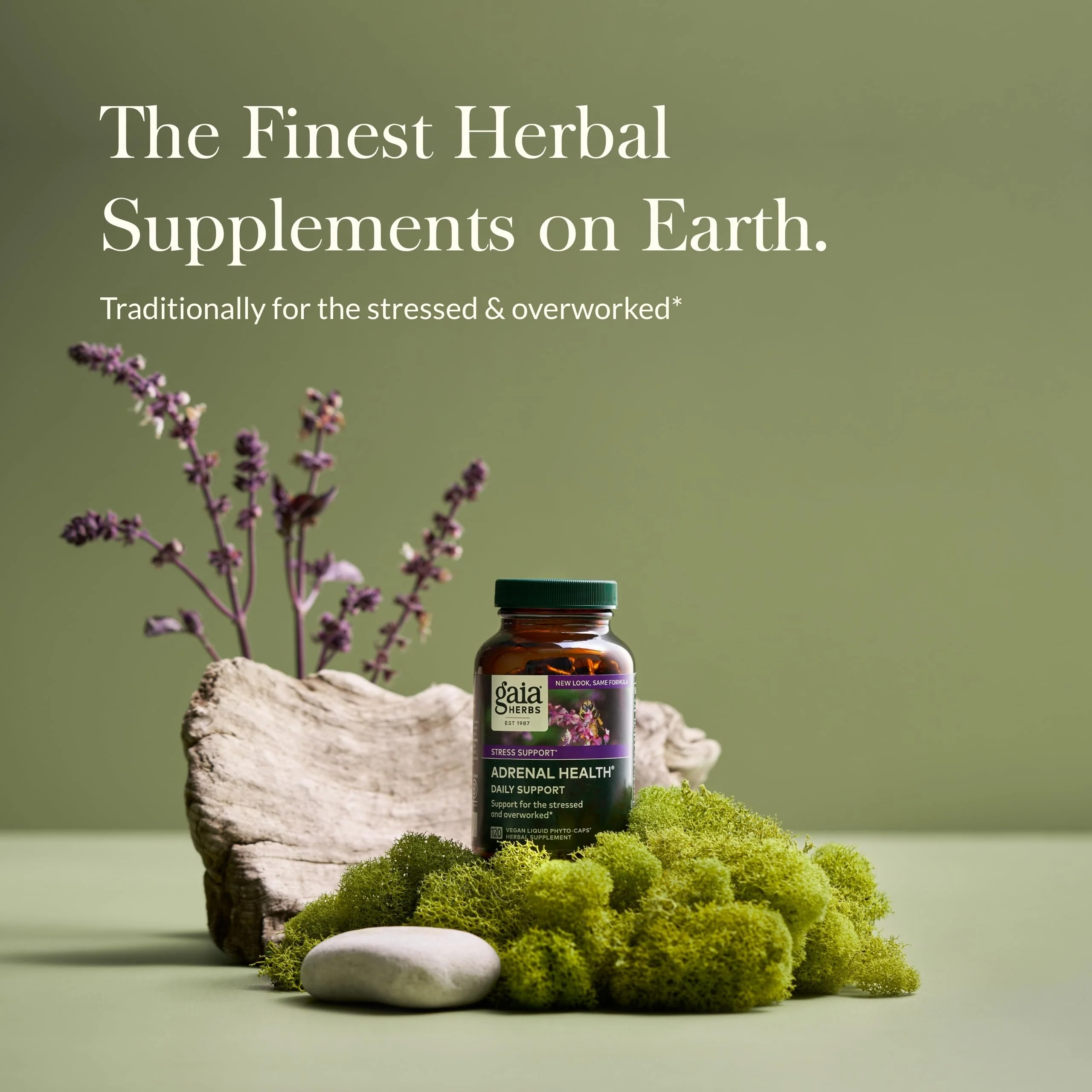 Gaia Herbs Adrenal Health Daily Support - Ashwagandha, Holy Basil & Schisandra | 120 Vegan Liquid Phyto-Caps (60 Servings) - Image 2