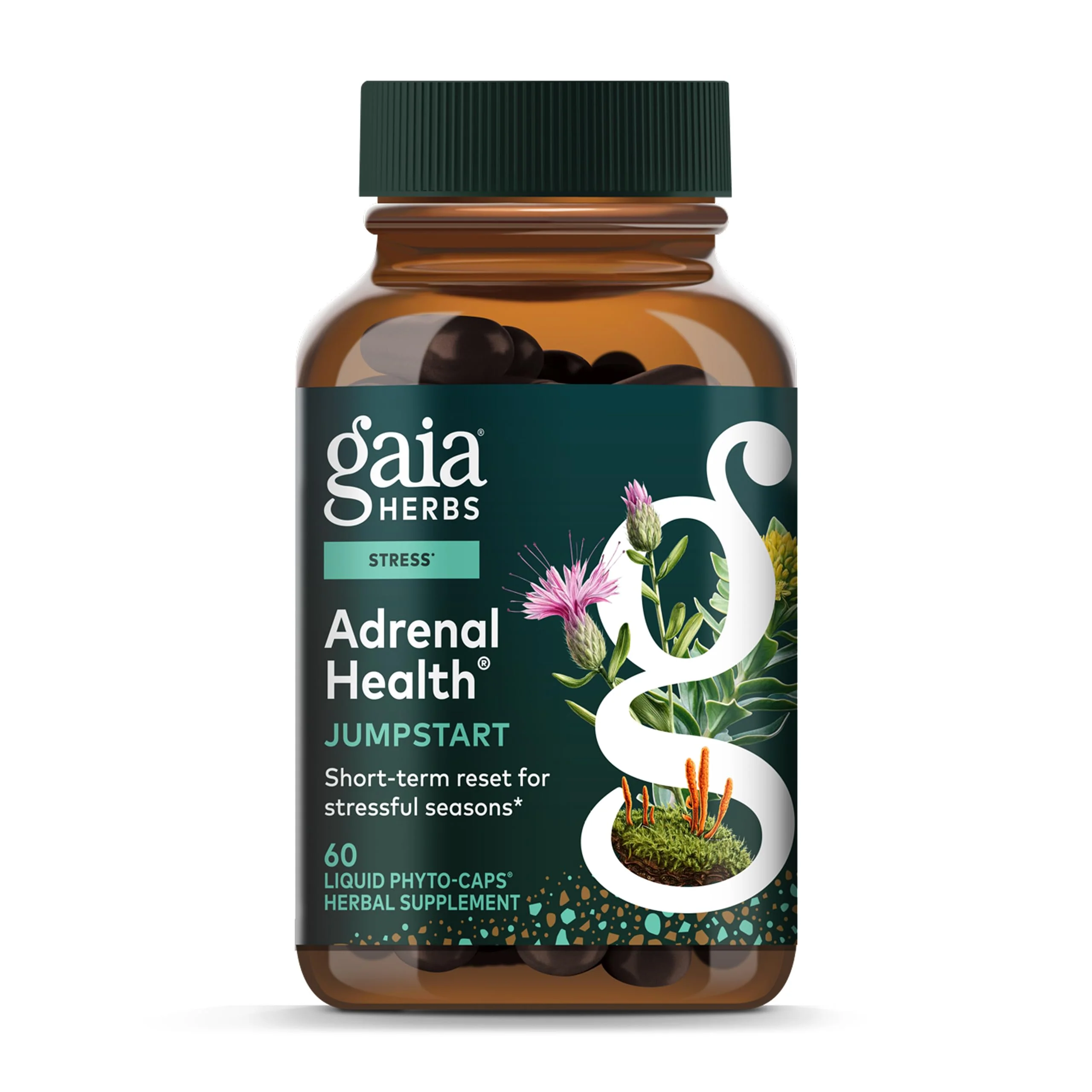 Gaia Herbs Adrenal Health Jumpstart | Adaptogenic Blend for Energy & Stress Support | 60 Vegan Liquid Phyto-Capsules - Image 10