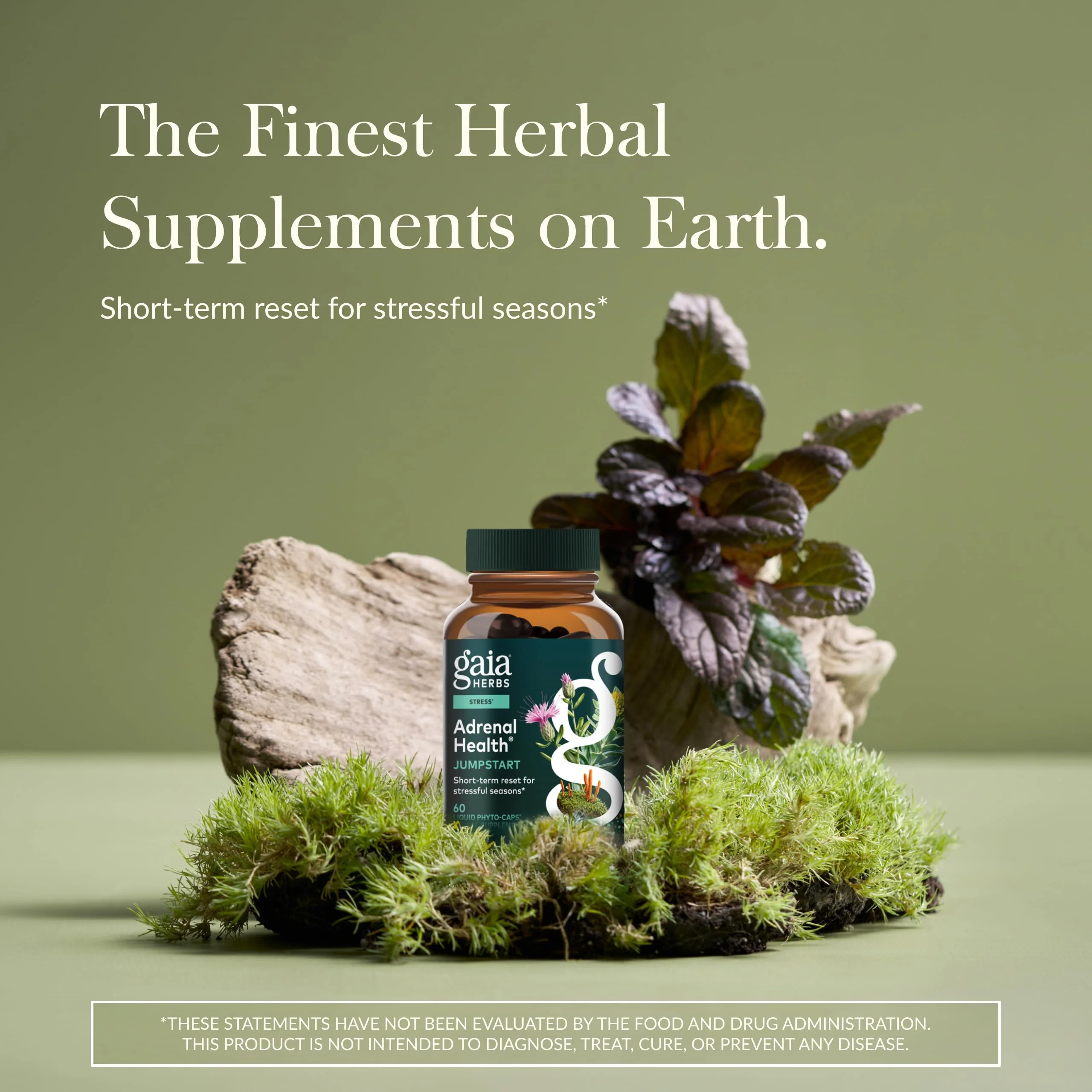 Gaia Herbs Adrenal Health Jumpstart | Adaptogenic Blend for Energy & Stress Support | 60 Vegan Liquid Phyto-Capsules - Image 11