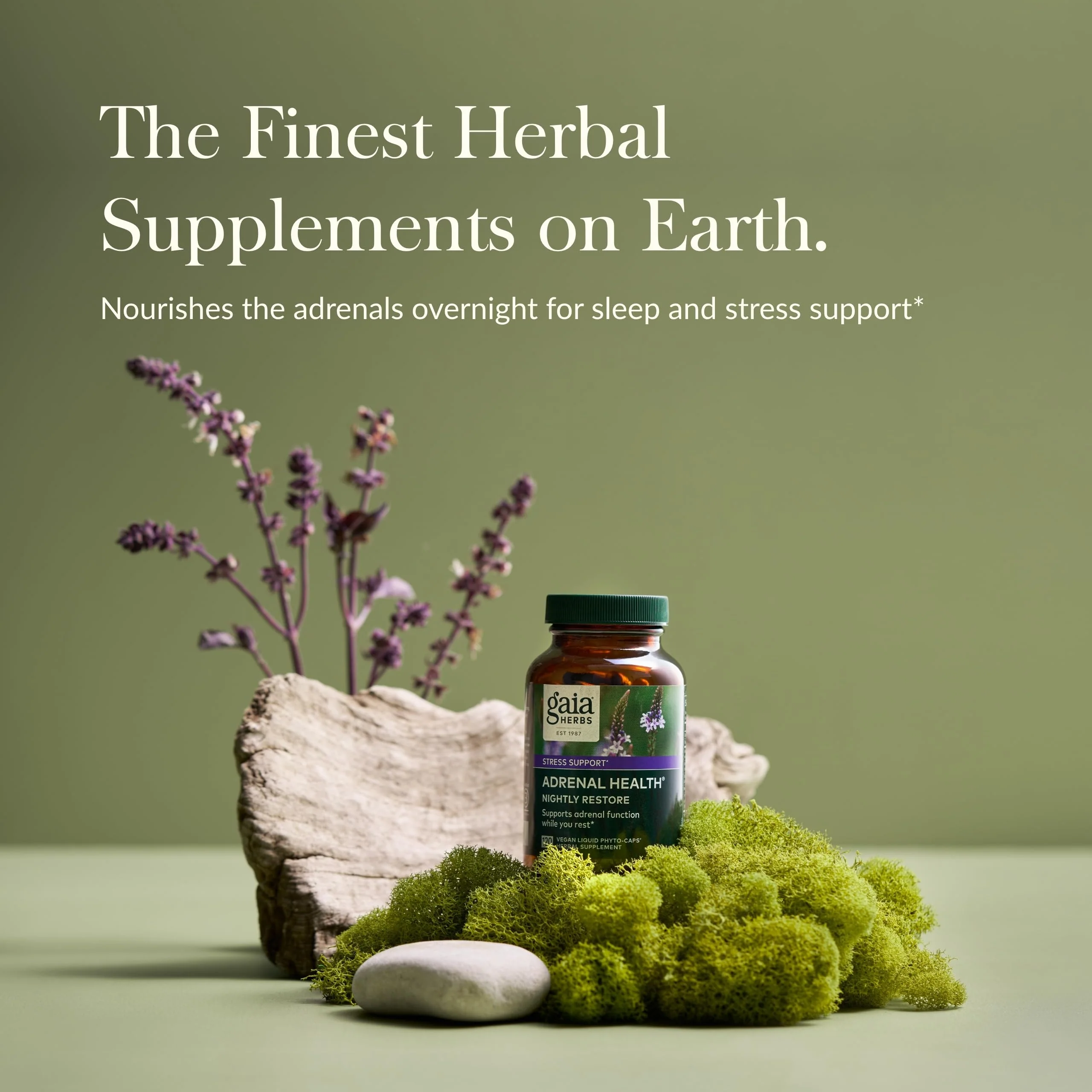 Gaia Herbs Adrenal Health Nightly Restore - Herbal Adrenal Support with Ashwagandha, Lemon Balm & Cordyceps | 120 Vegan Liquid Phyto-Caps (60 Servings) - Image 2