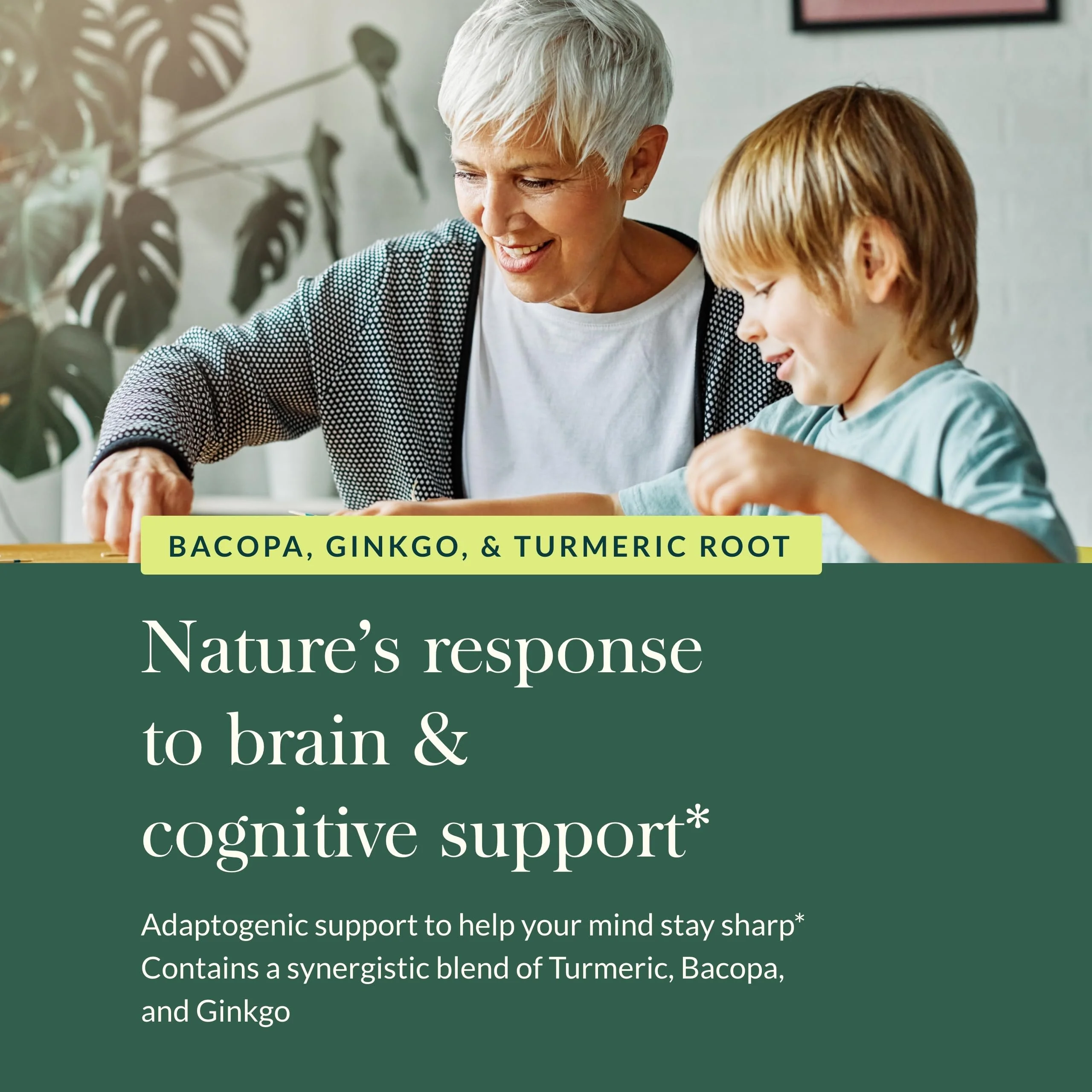 Gaia Herbs Agile Mind – Brain Support with Turmeric, Bacopa, Black Pepper & Ginkgo Biloba | 60 Vegan Liquid Phyto-Capsules - Image 6
