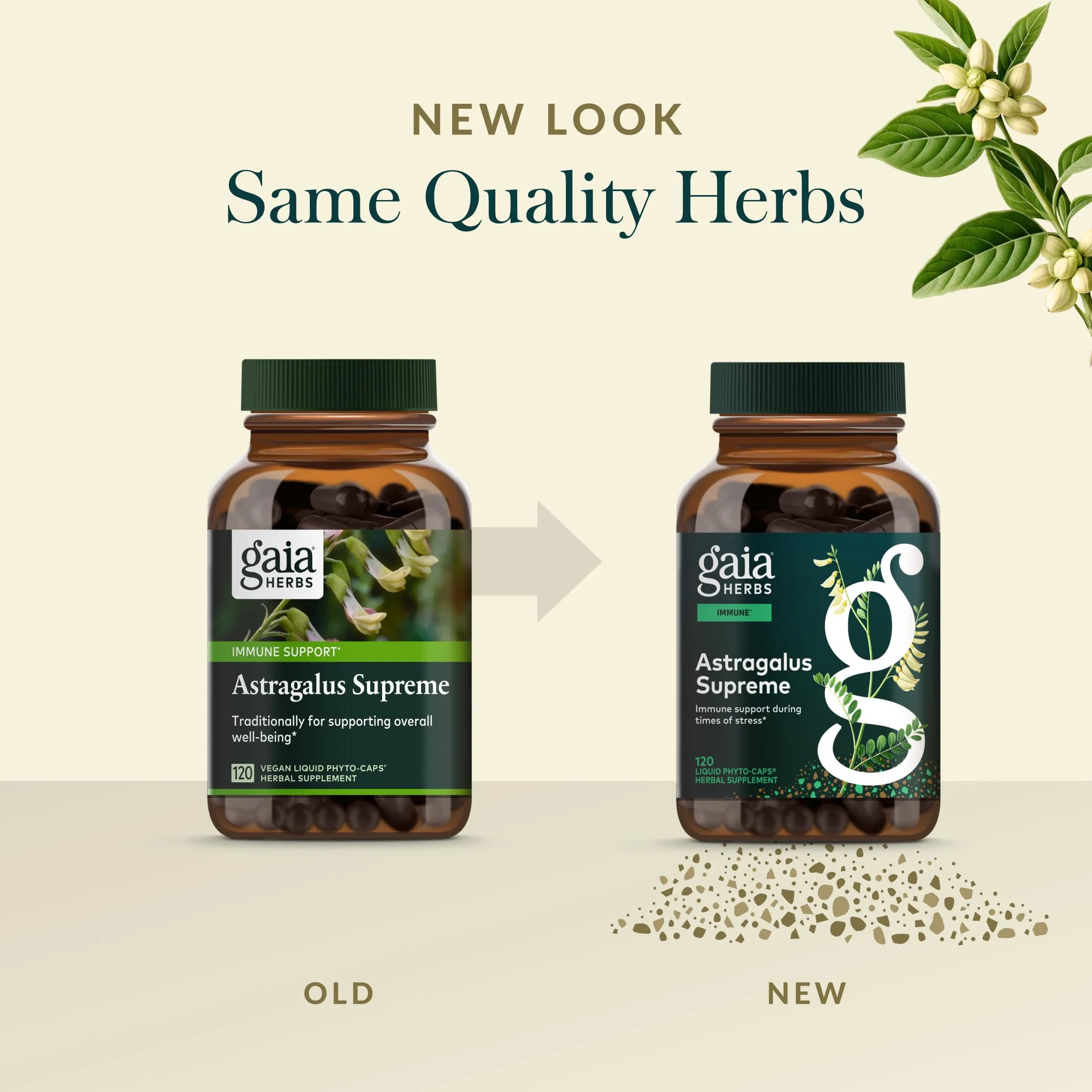 Gaia Herbs Astragalus Supreme – Immune & Antioxidant Support | 120 Vegan Liquid Phyto-Caps (60 Servings) - Image 15
