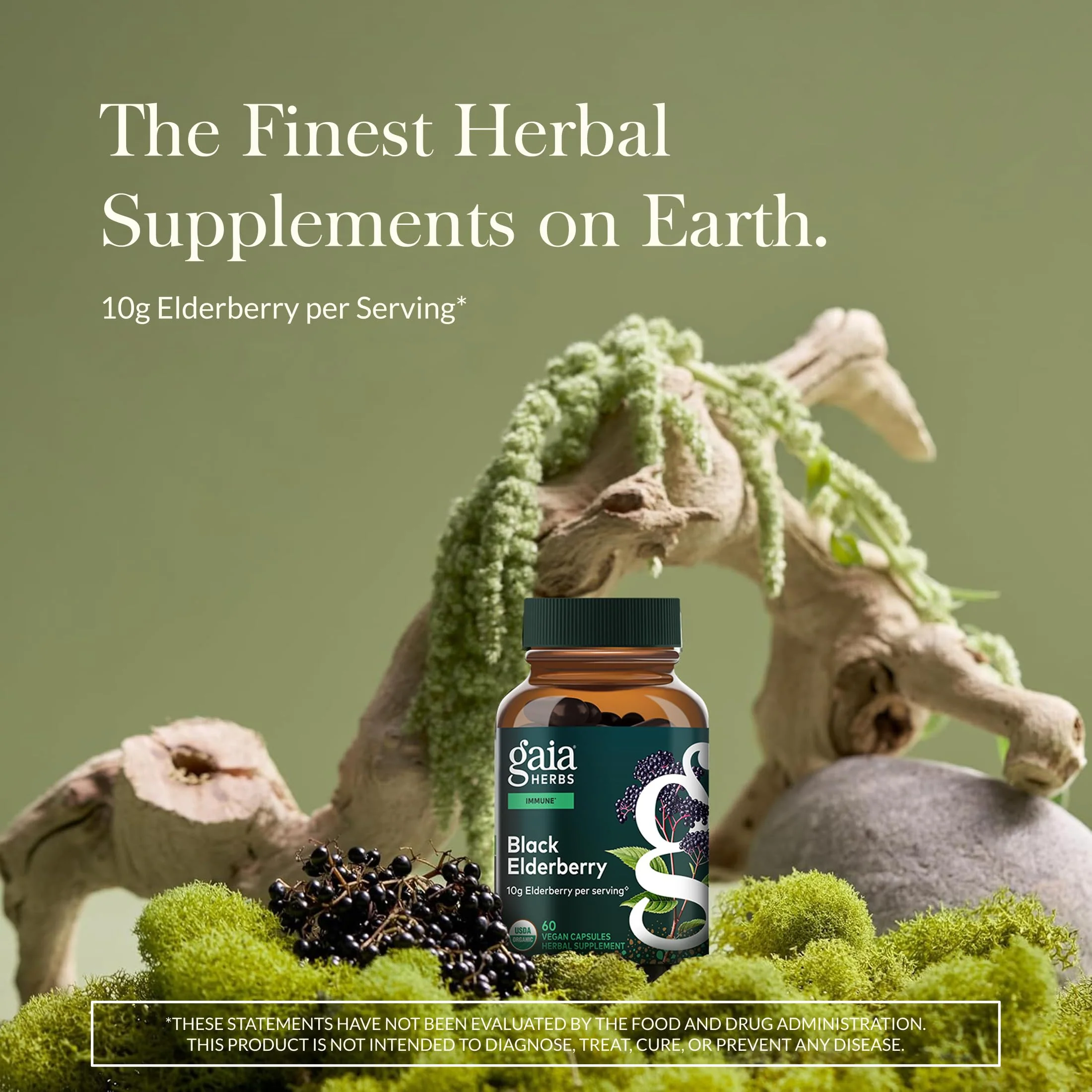 Gaia Herbs Black Elderberry – Daily Immune Support Capsules with Acerola (120 Vegan Capsules, 60 Servings) - Image 11